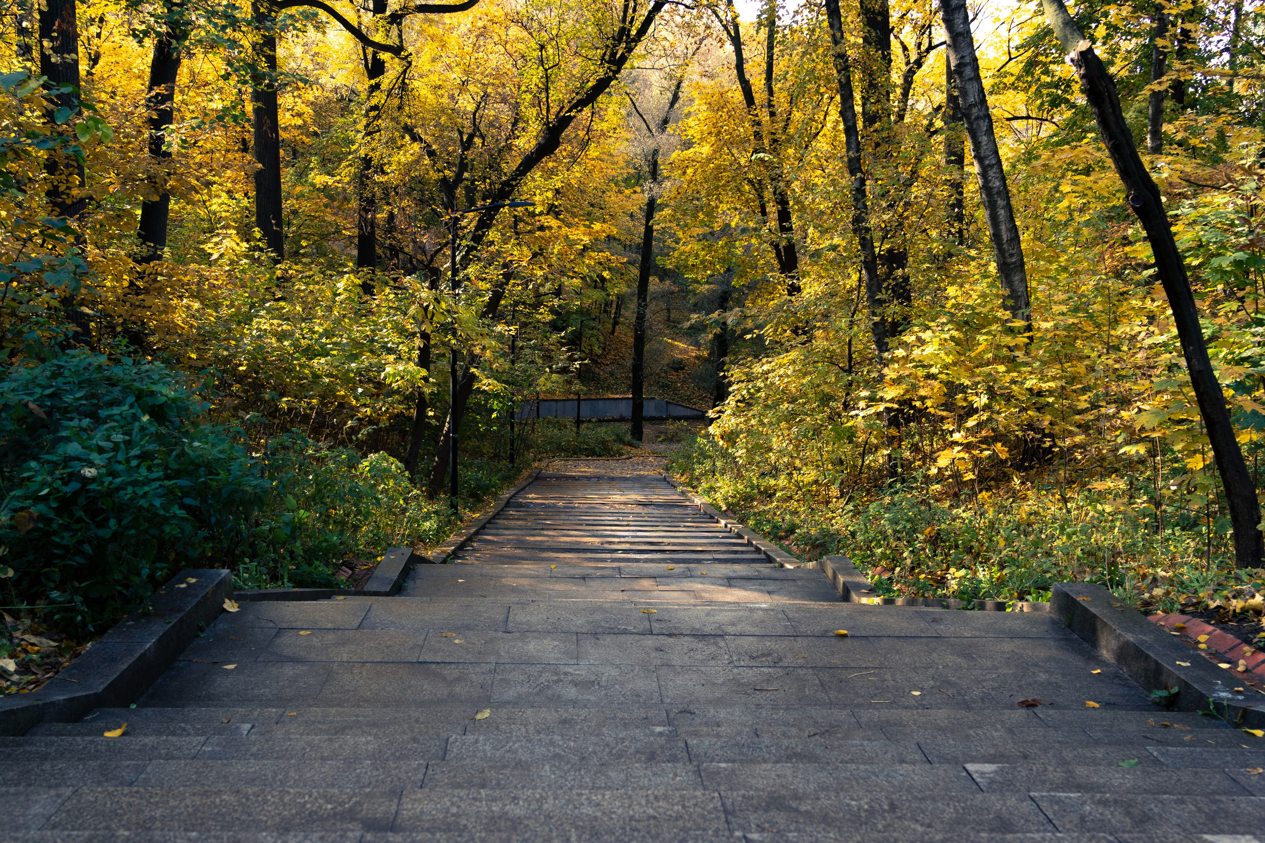 20251011 Нескучный сад. Дмитрий Ремизов. Фотография, как хобби