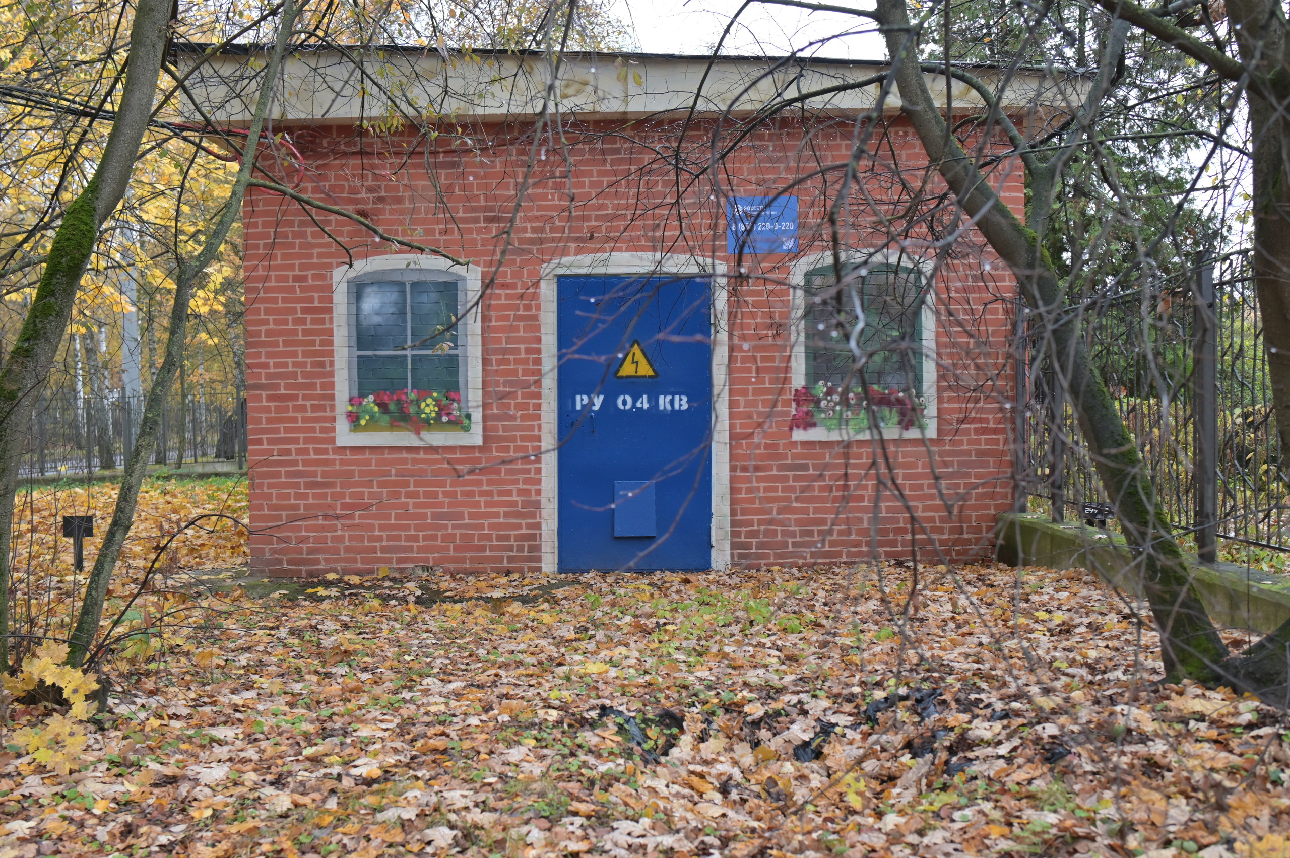 20241026 Сокольники. Дмитрий Ремизов. Фотография, как хобби