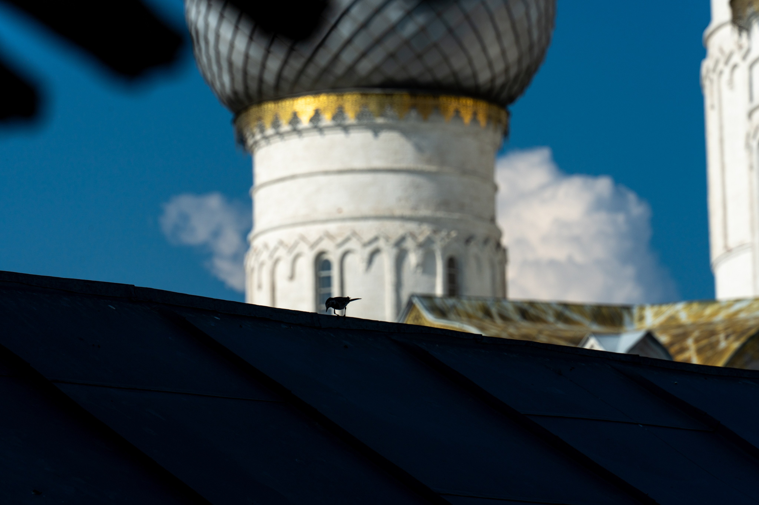 20250729-30 Ростов. Дмитрий Ремизов. Фотография, как хобби