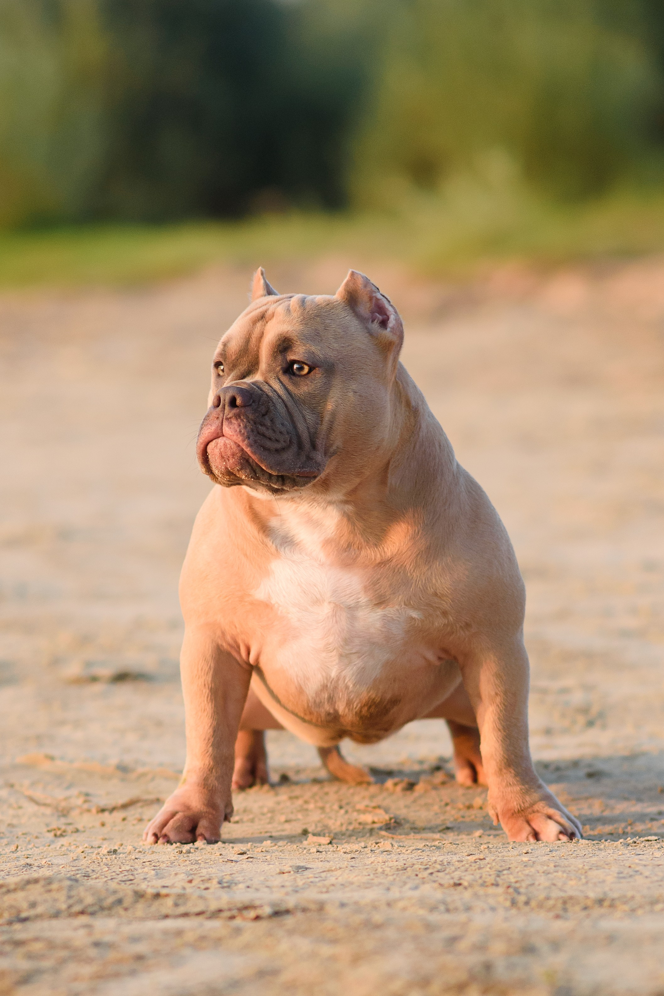 Аляска — Амбулли — 23.08.2024. Фотограф — Анималист | Анна Абрамова