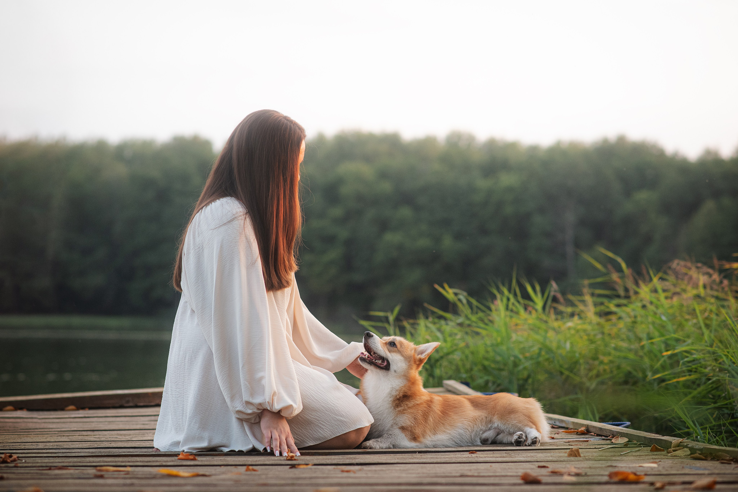 Саша, Оксана и Барни — 25.08.2024. Фотограф — Анималист | Анна Абрамова