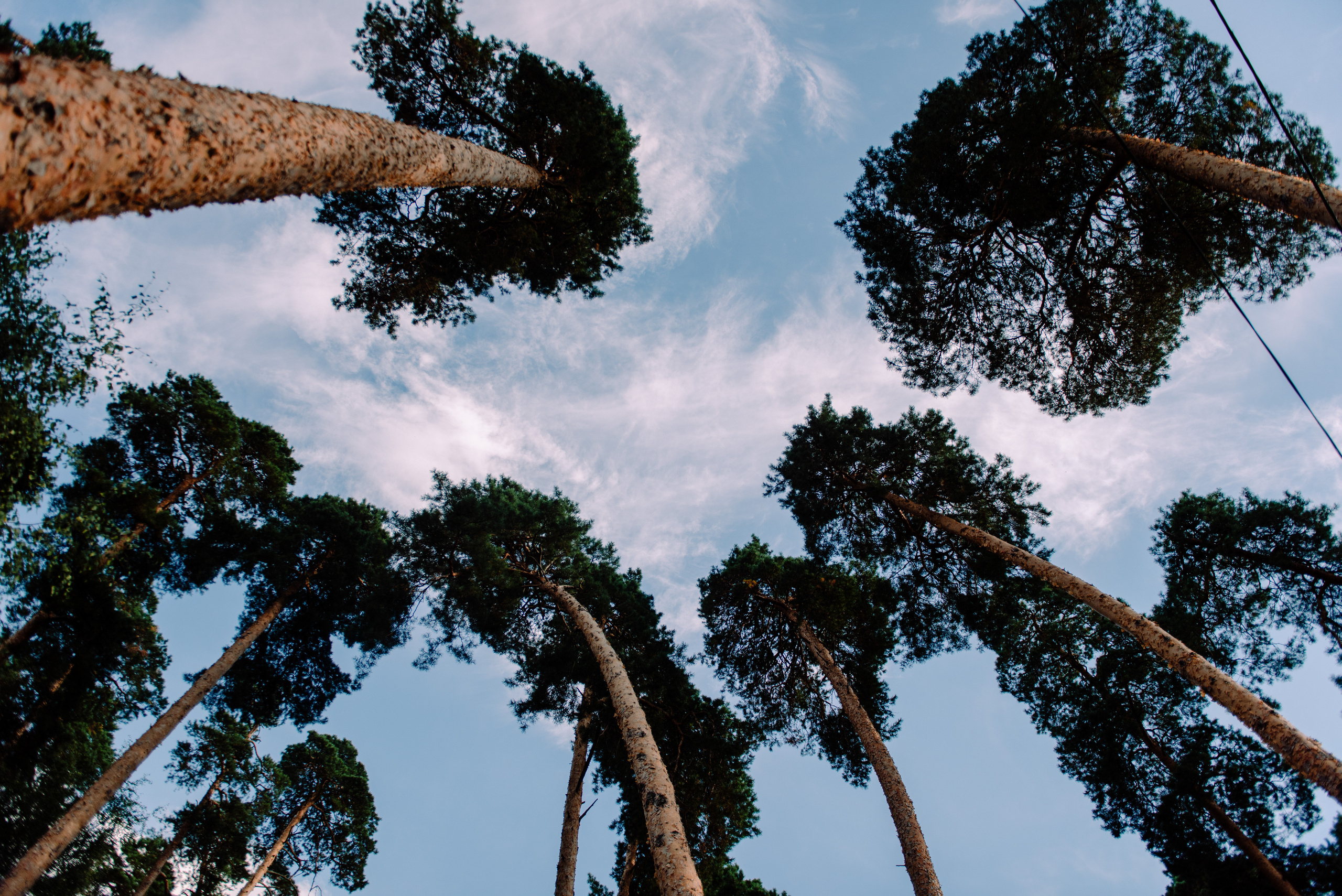 Сергей и Елена. Семейный и свадебный фотограф в Рязани Лиза Голованова