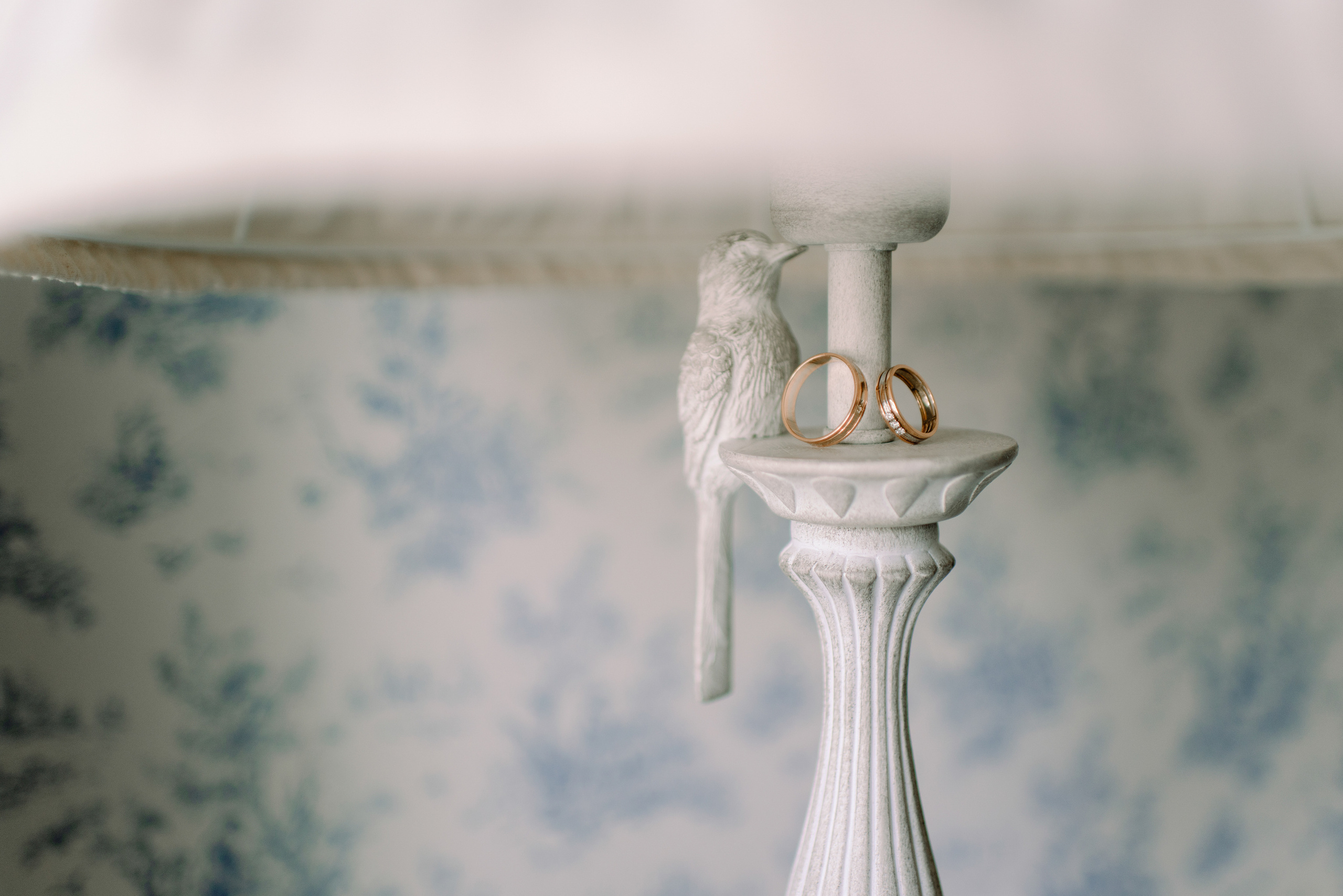 Сергей и Елена. Семейный и свадебный фотограф в Рязани Лиза Голованова