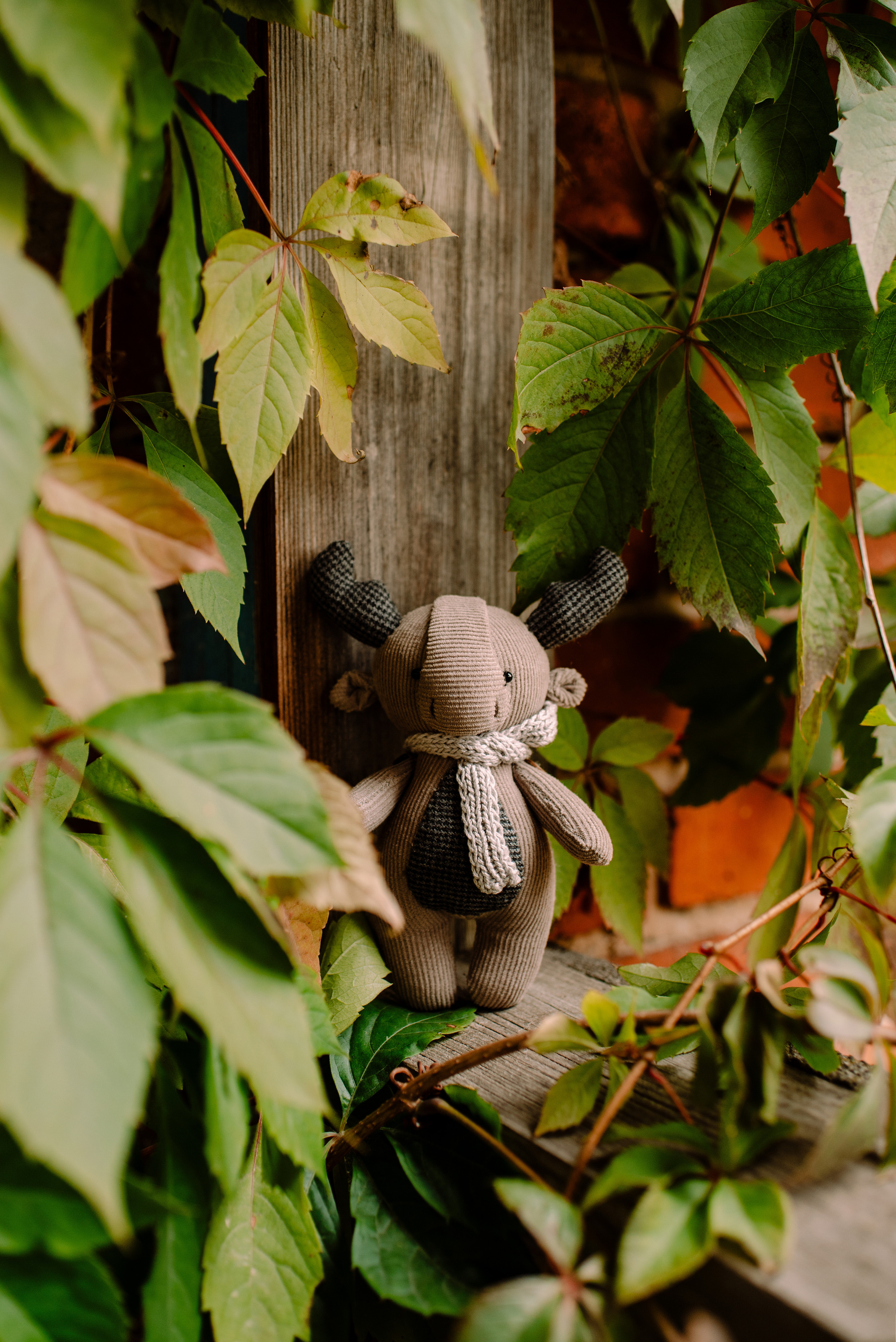 Октябрь. Семейный и свадебный фотограф в Рязани Лиза Голованова