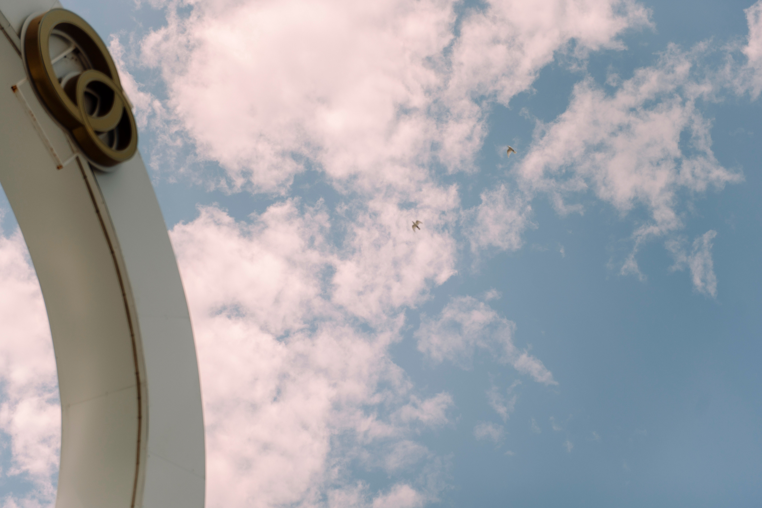 Виктория и Алексей — традиционная свадьба. Семейный и свадебный фотограф в Рязани Лиза Голованова