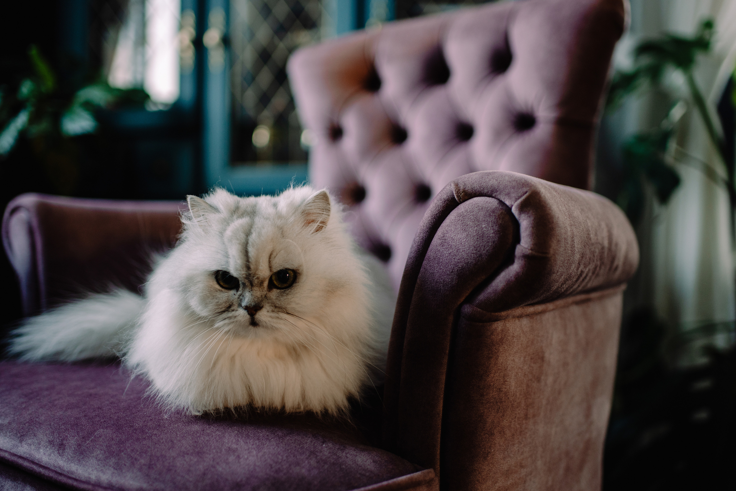 Ваня дома в воскресенье. Семейный и свадебный фотограф в Рязани Лиза Голованова