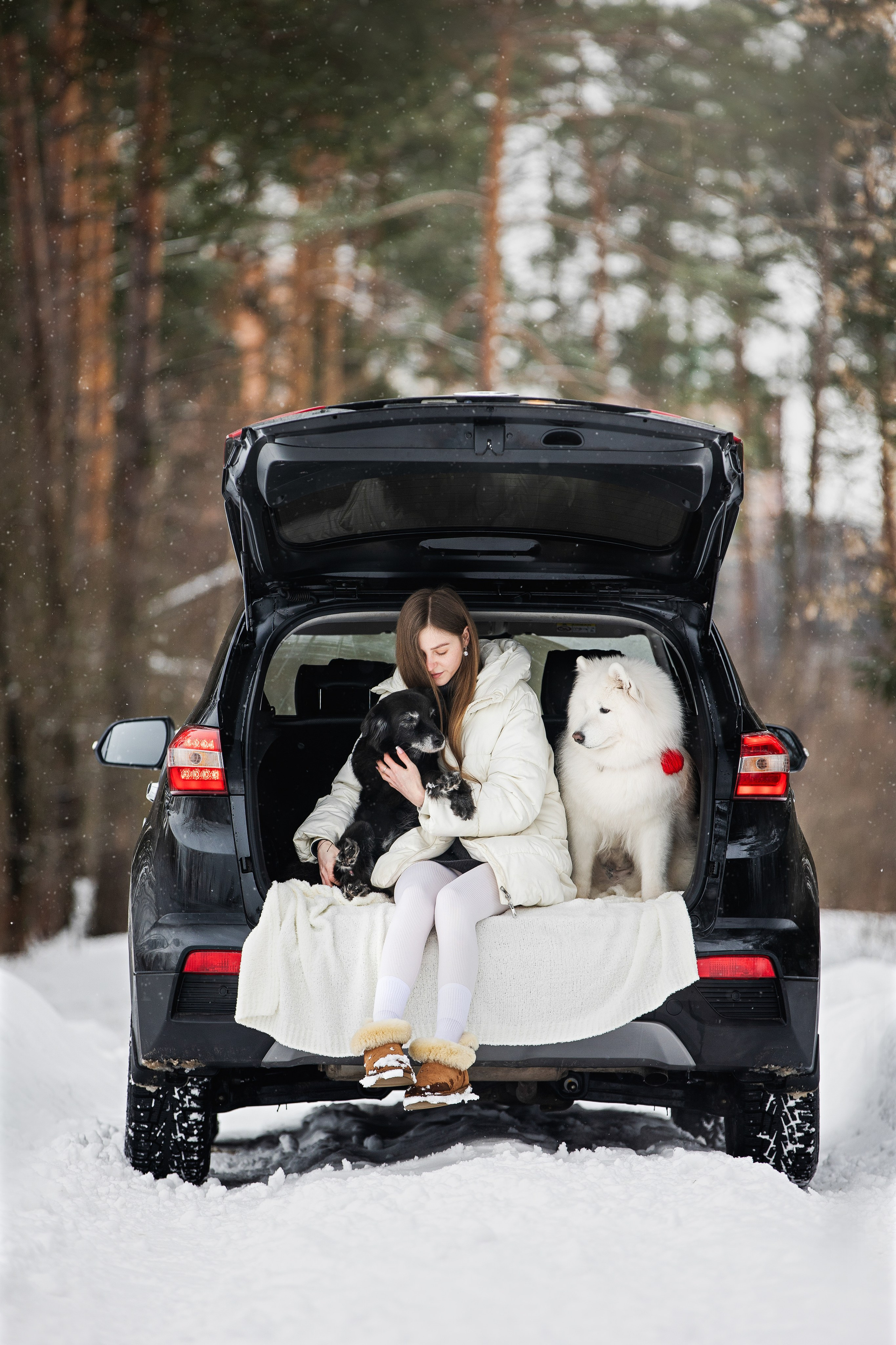 Валя, Варя и Лада. Фотограф анималист в Москве Майорова Евгения