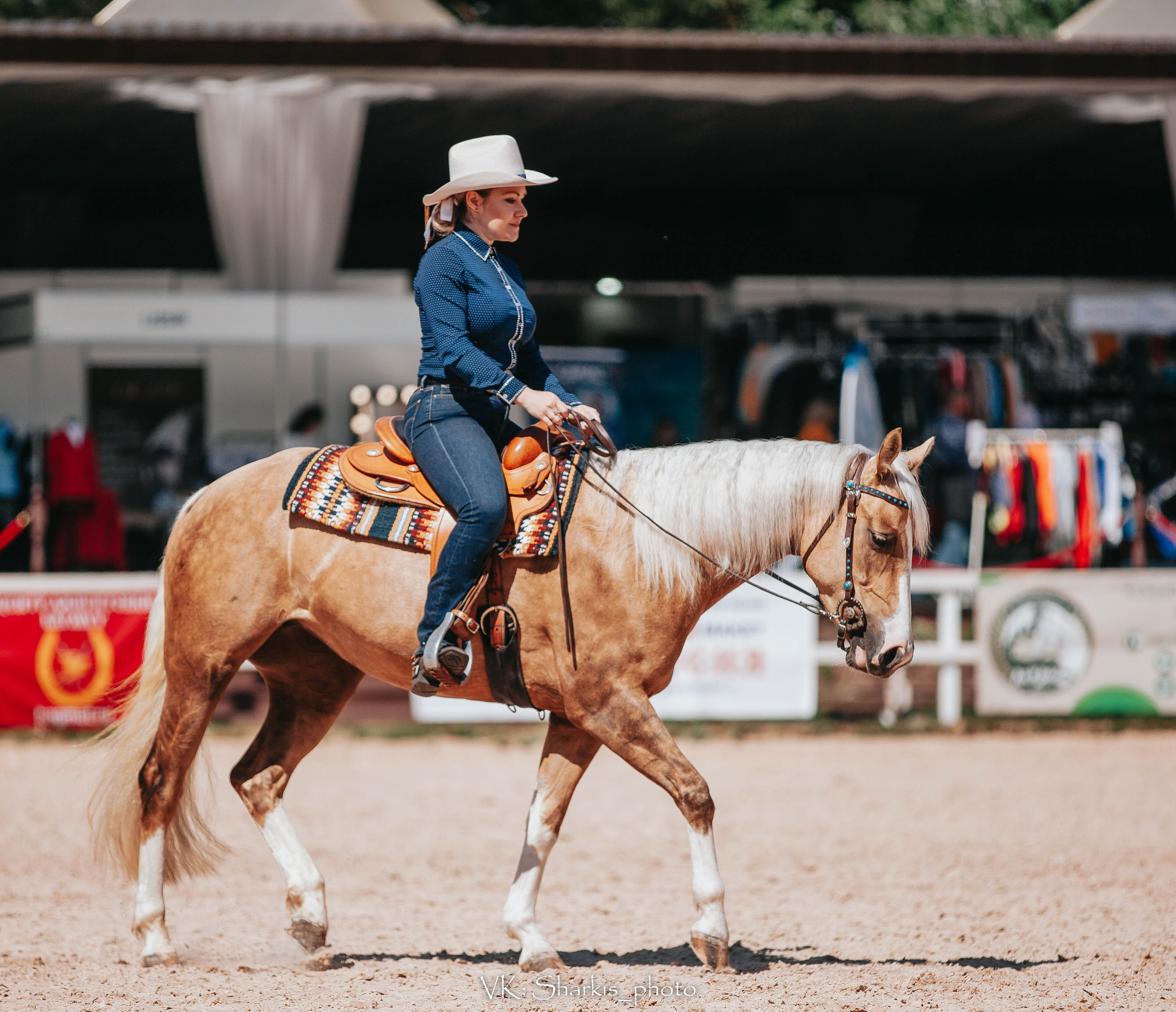 Лошади. Главная
