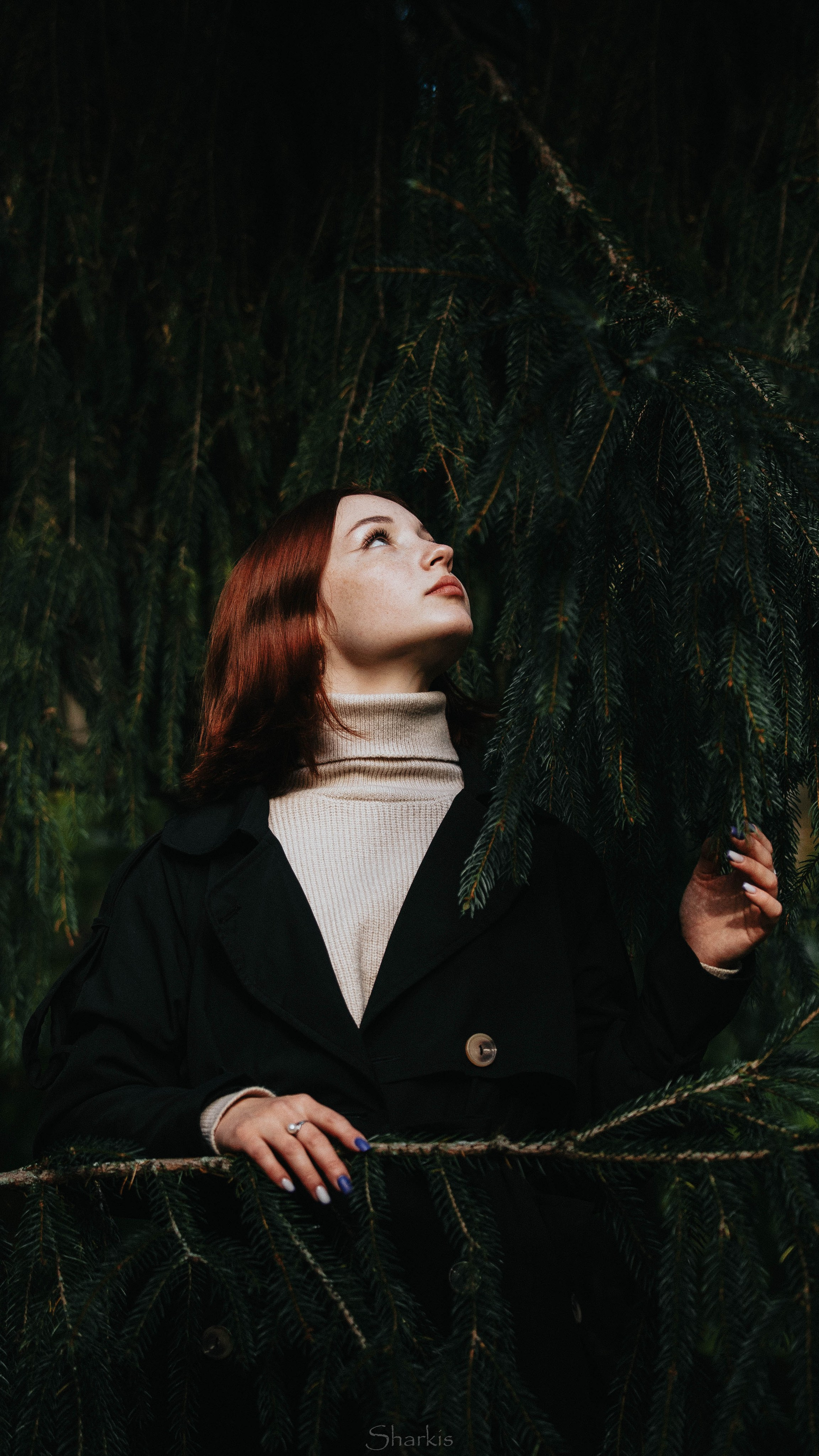 Света. Главная