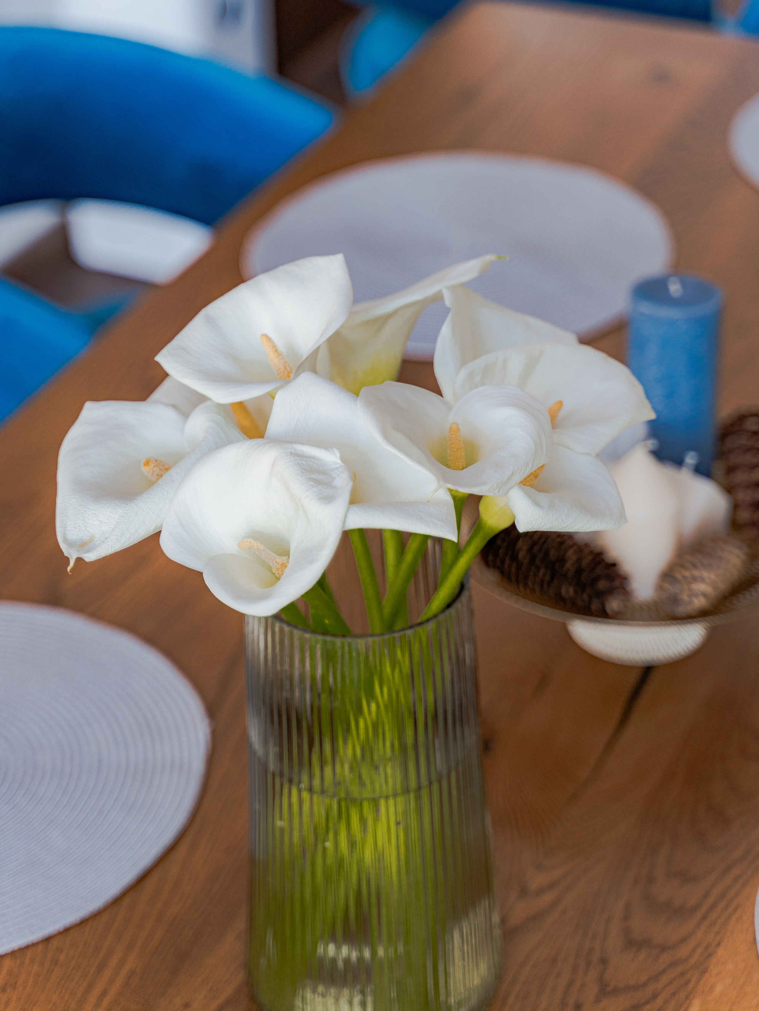 Sofia Luxury Mountain Home. Photographer Liana Sudets Serbia Kopaonik Brzece Brus