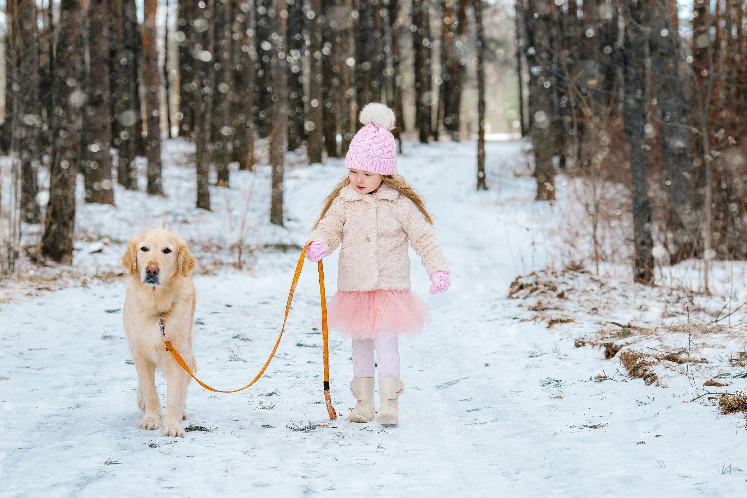 Фотосессия маленькой Жени. Свадебный и семейный фотограф Витебск, Минск, Андрей Павлов