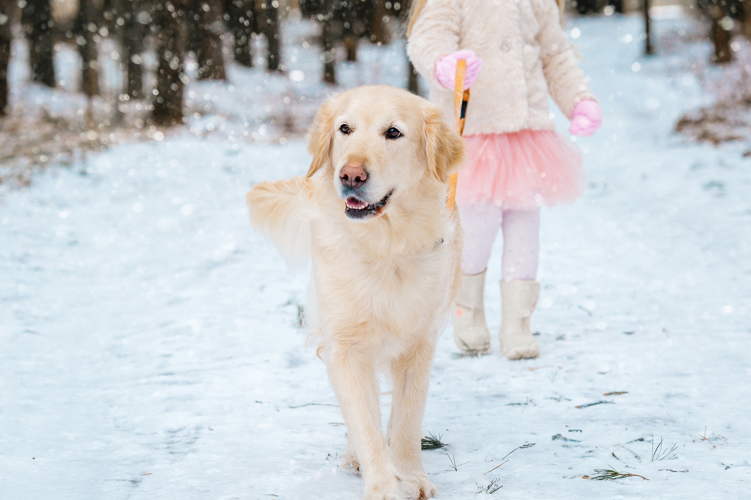 Фотосессия маленькой Жени. Свадебный и семейный фотограф Витебск, Минск, Андрей Павлов