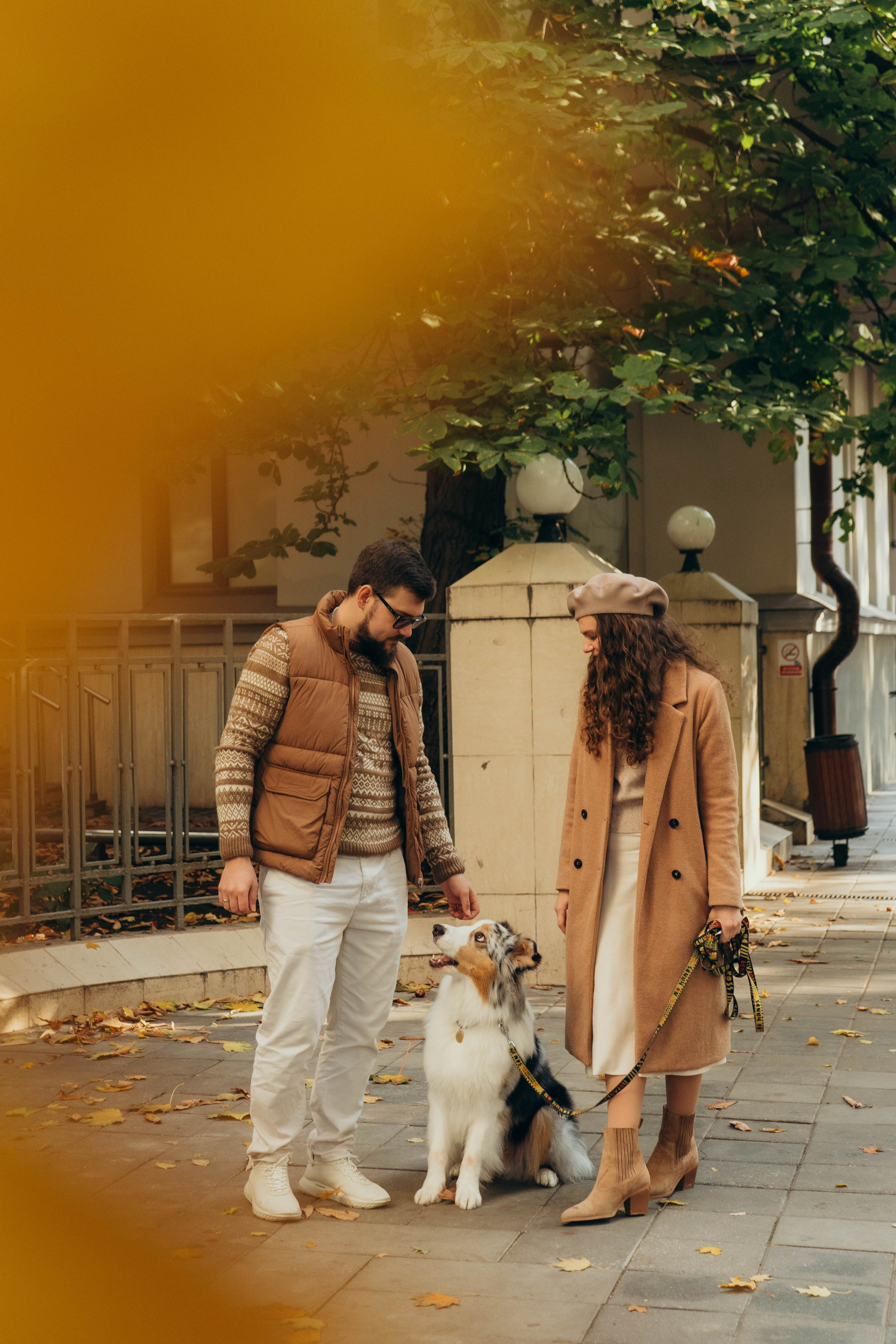 Аня, Влад и Джонни