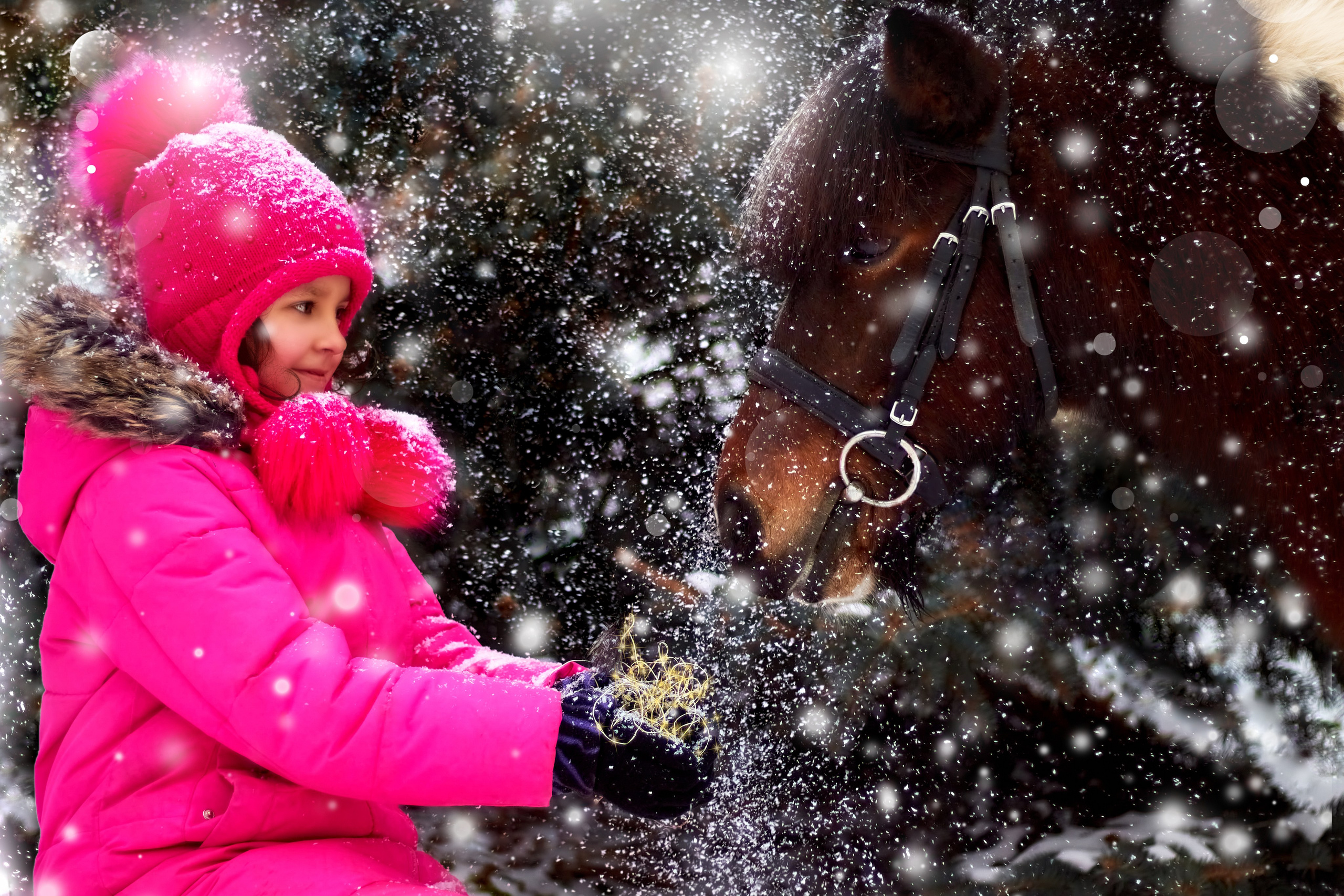 Фотосессии с лошадьми. Фотограф анималист — Тула, Москва