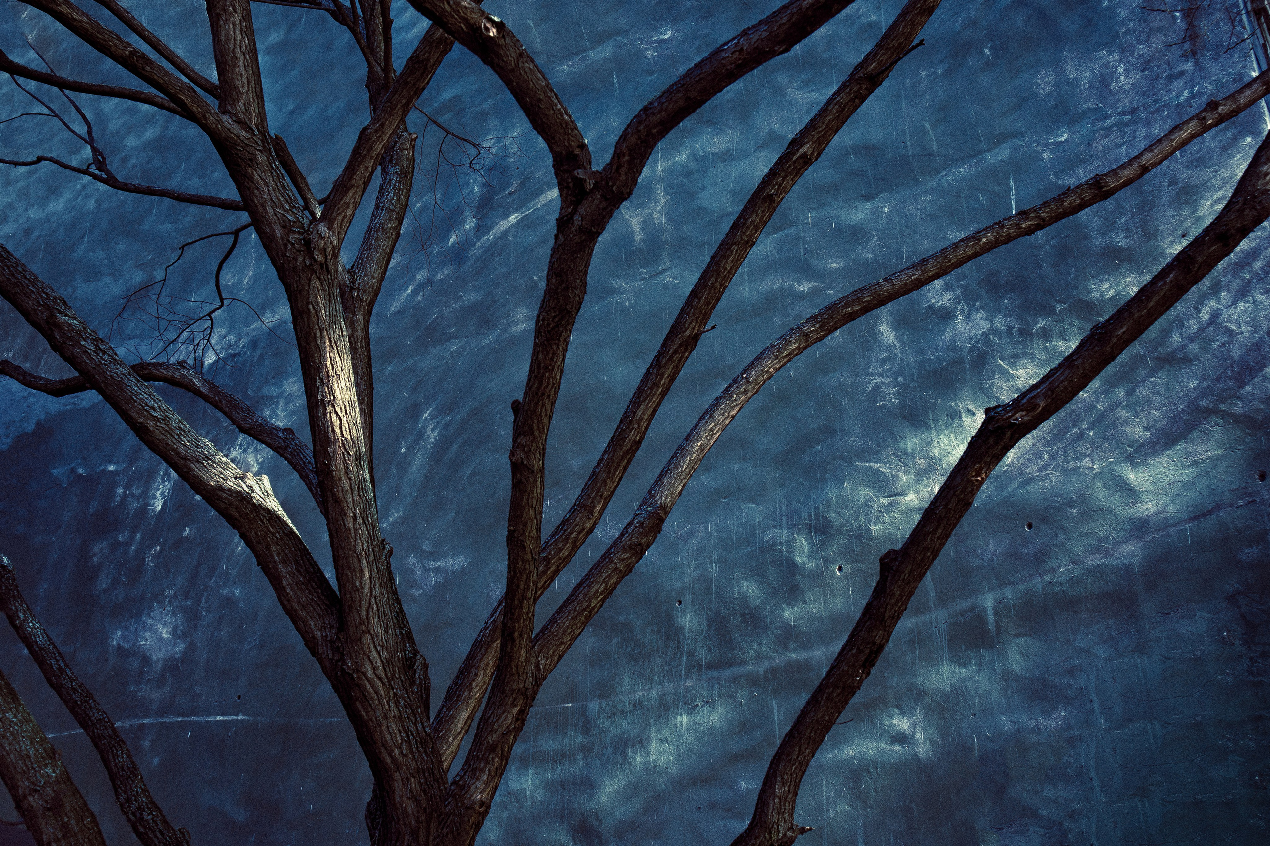 Работы вне серий — Сафонов Владислав. Сафонов Владислав, фотохудожник