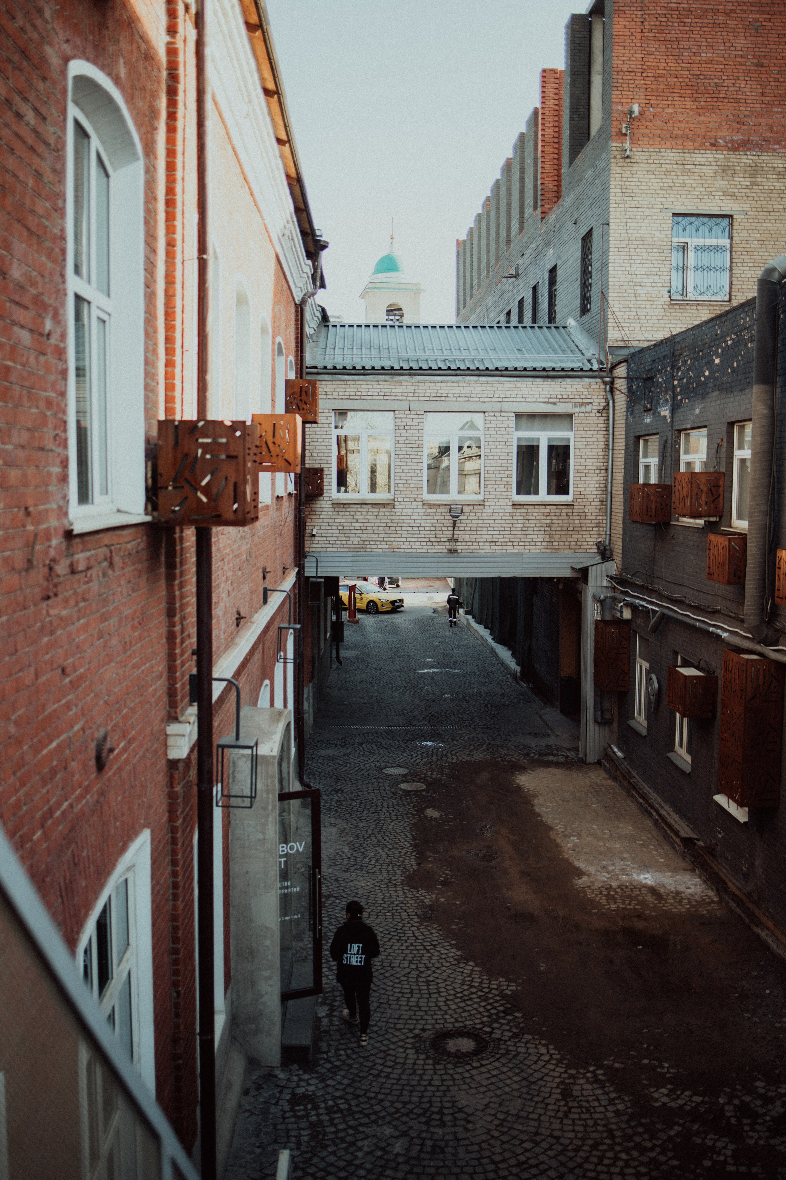 CBcon. Фотограф анималист в Москве Майорова Евгения