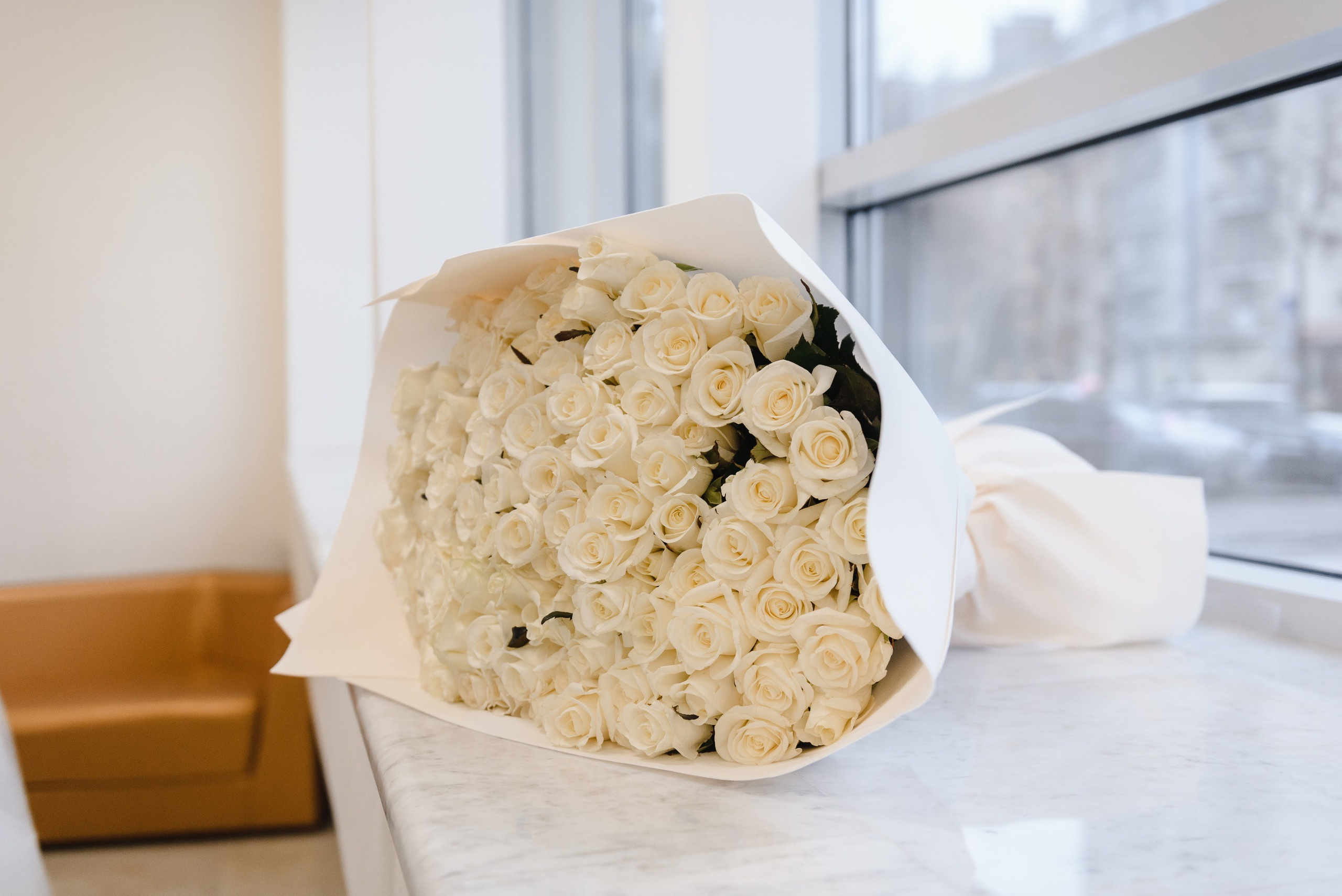 Владимир и Елена