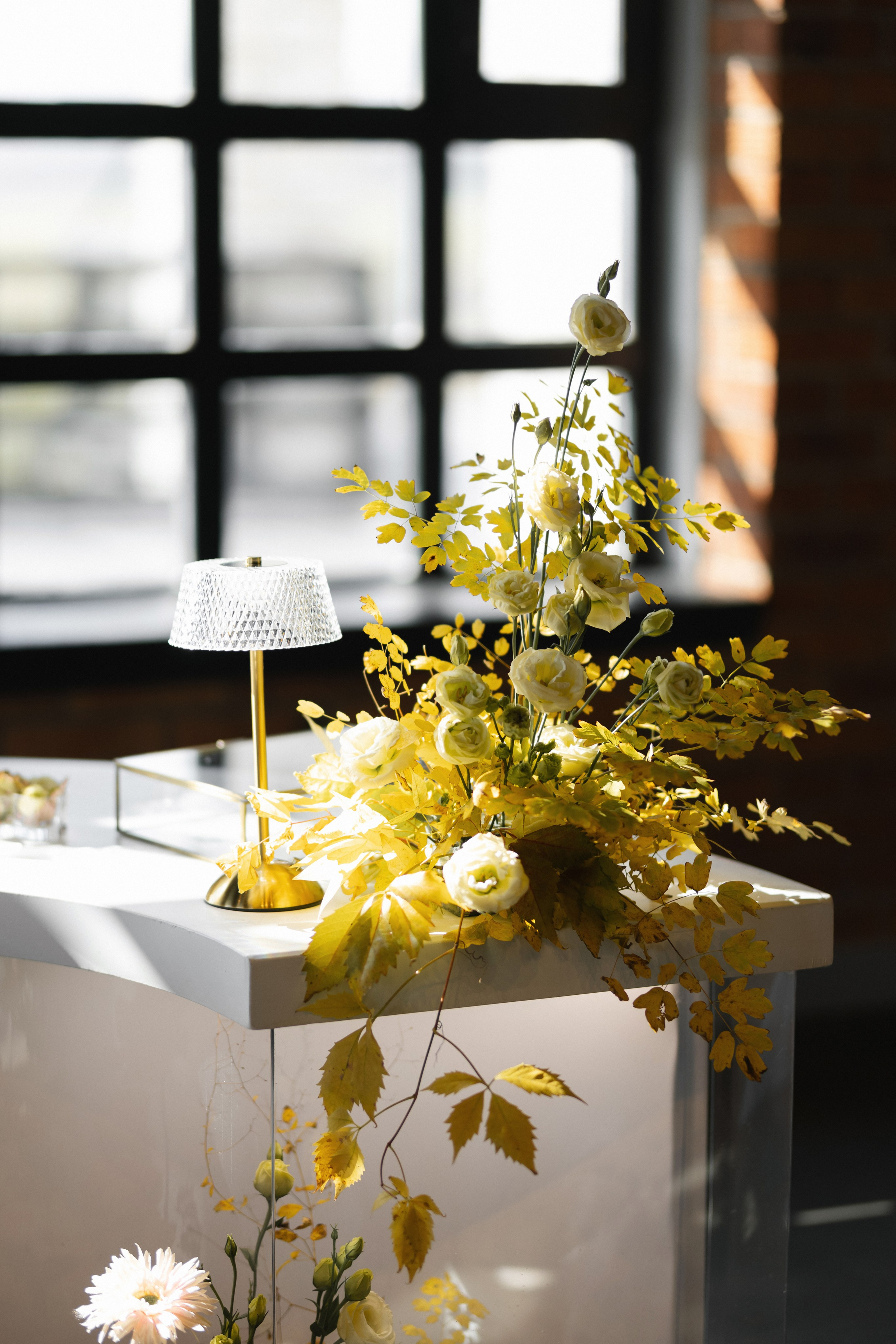 «В ОБЪЯТИЯХ ОСЕНИ». Maria Startseva Photo