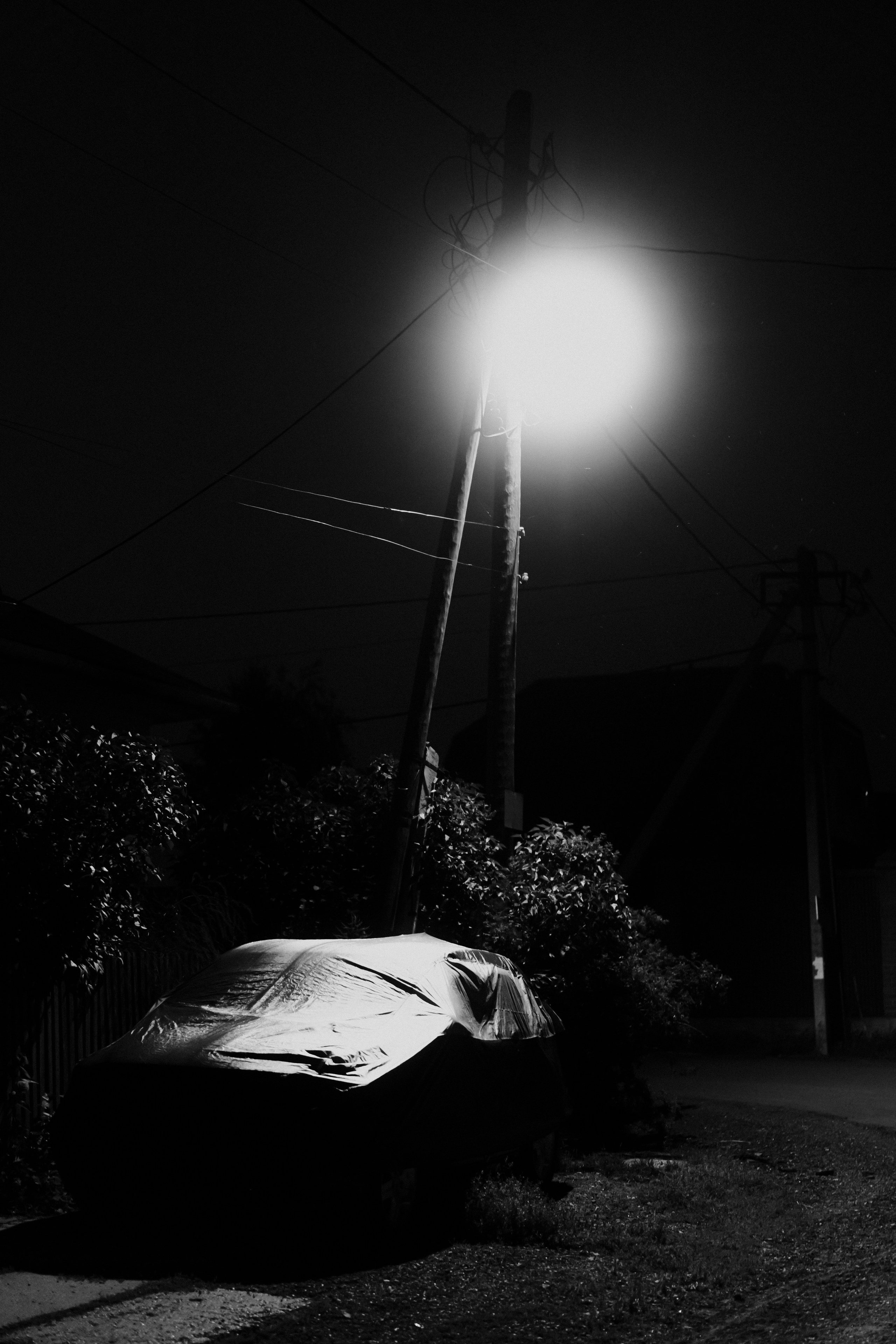 Лодочная станция, Северск. Veronika Popadeikina Photographer