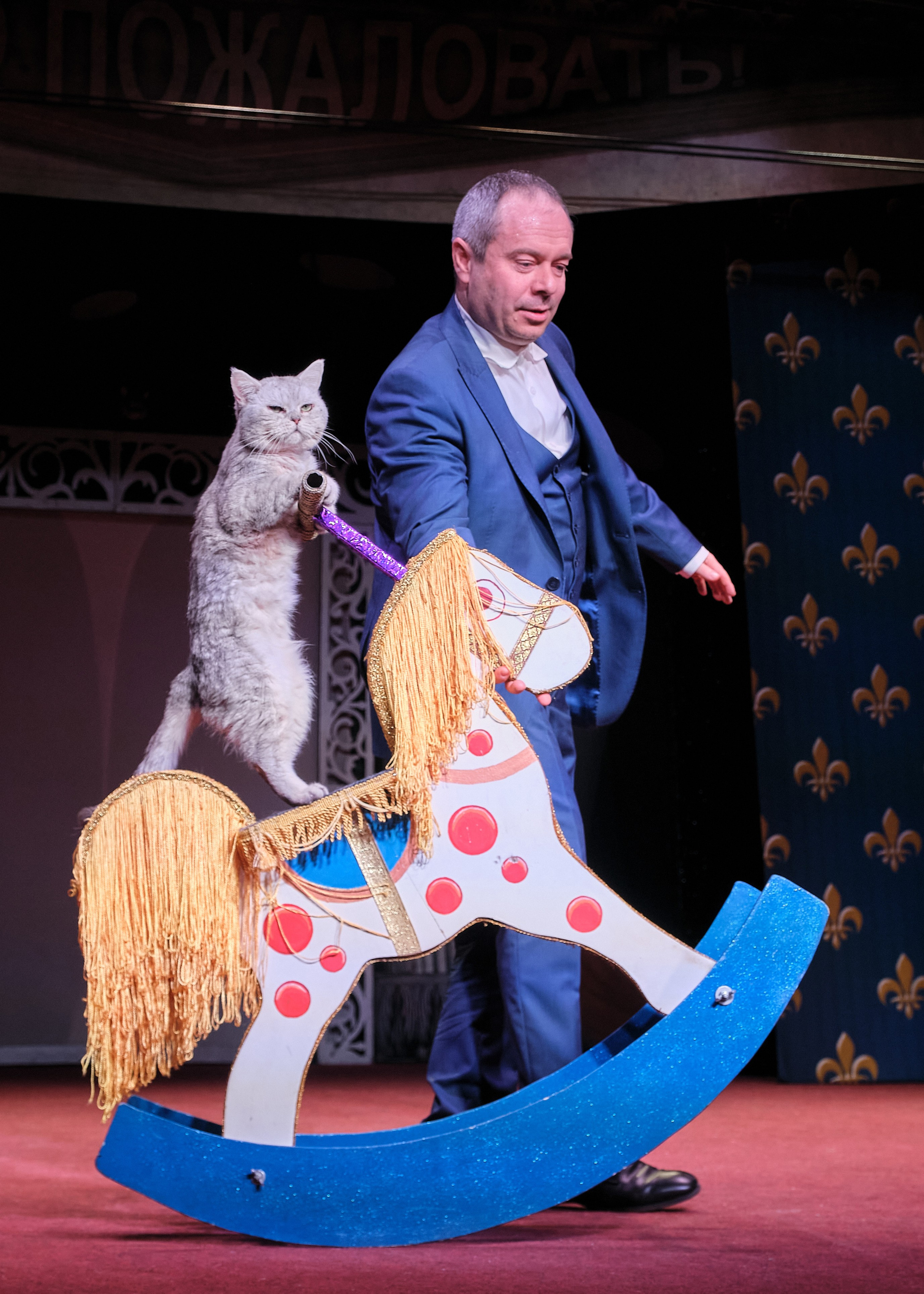 Пресс-конференция Ю.Куклачева в театре кошек