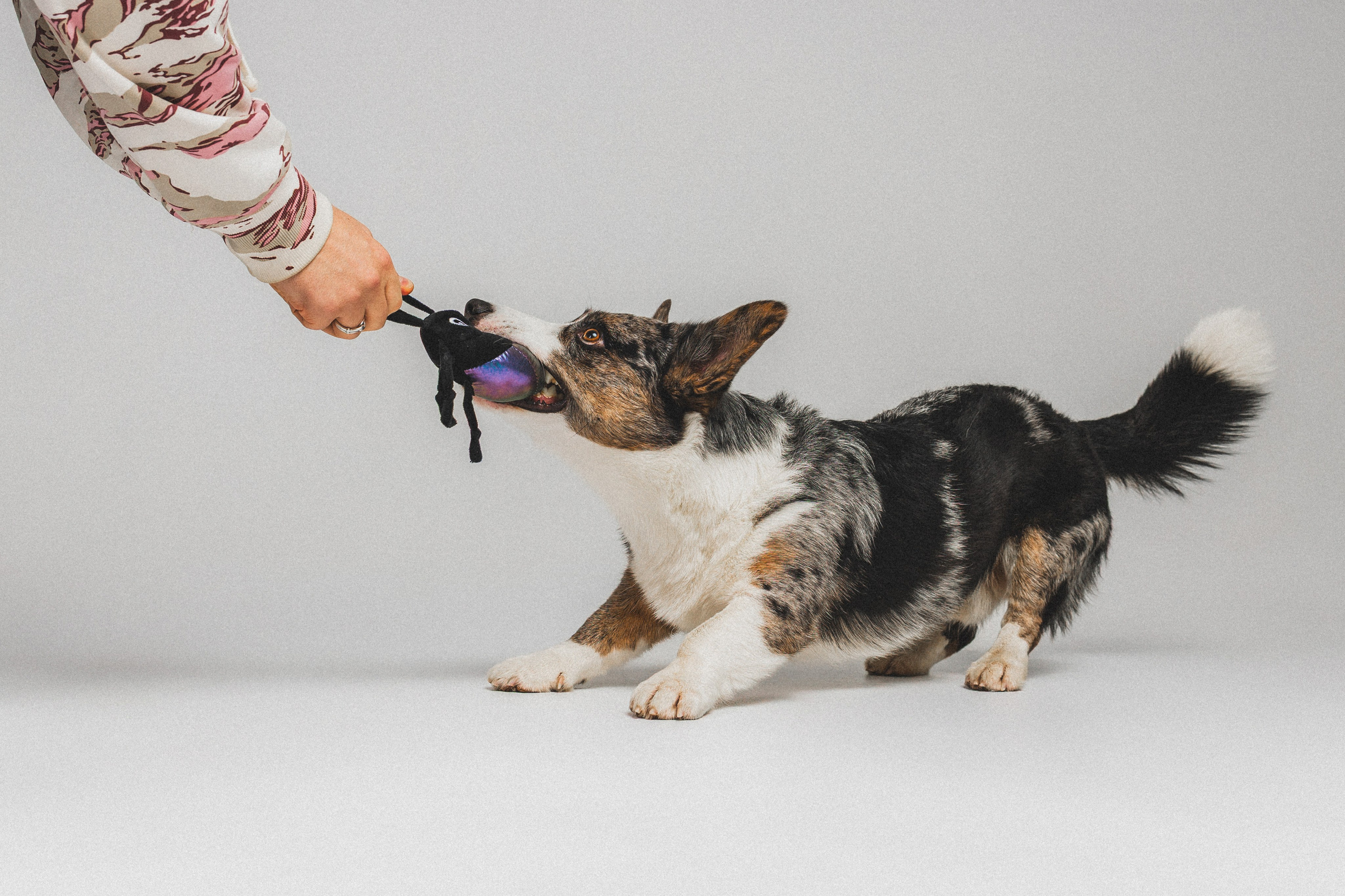 Анатолий и Рагнар