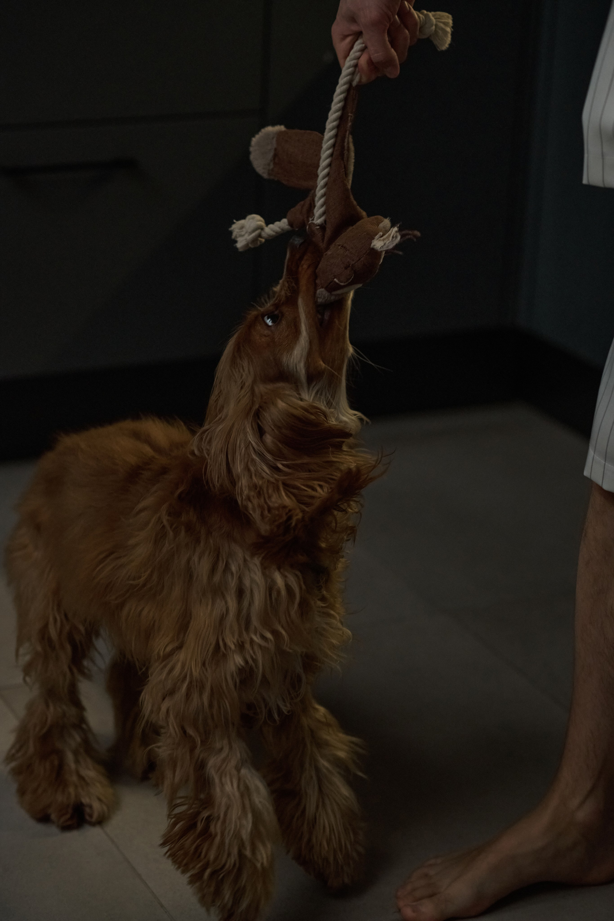 Егор и Аня. Свадебный фотограф МОСКВА, КРЫМ, СМОЛЕНСК АЛЯ КОНОВАЛОВА