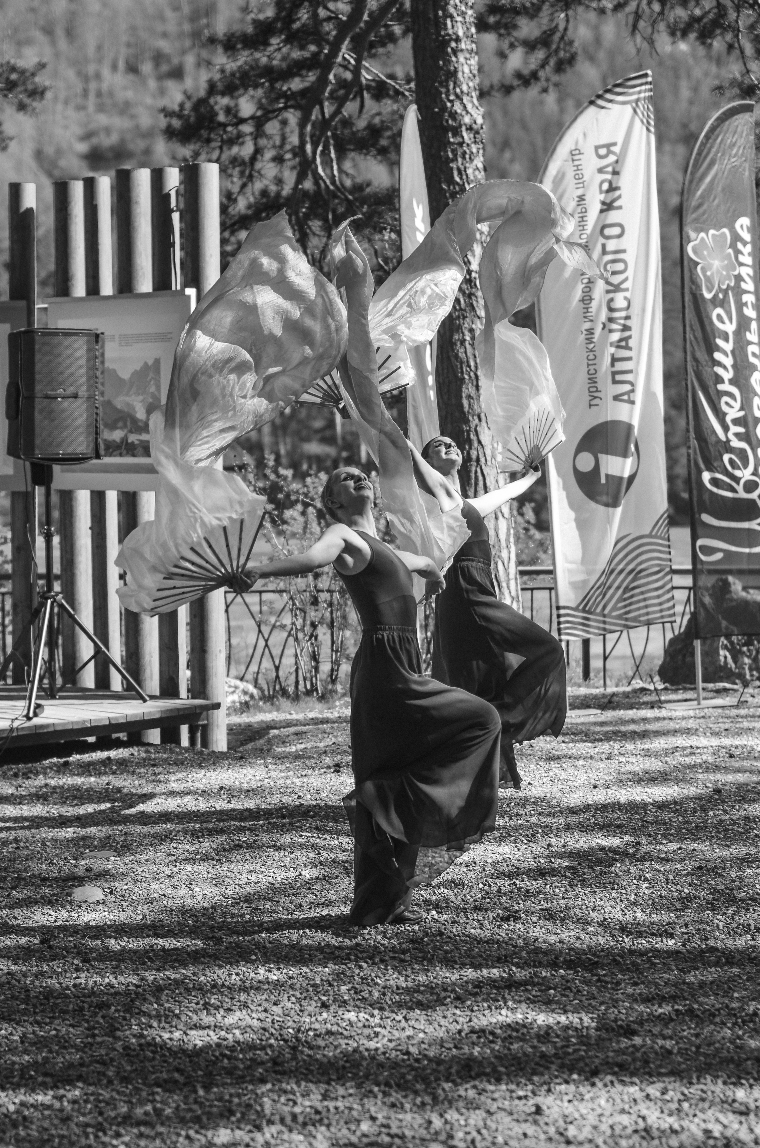 Фестиваль «Цветение Маральника на Алтае 2025». Фоторепортаж. Денисова Аля — фотограф для парных съемок и индивидуальных историй в Барнауле