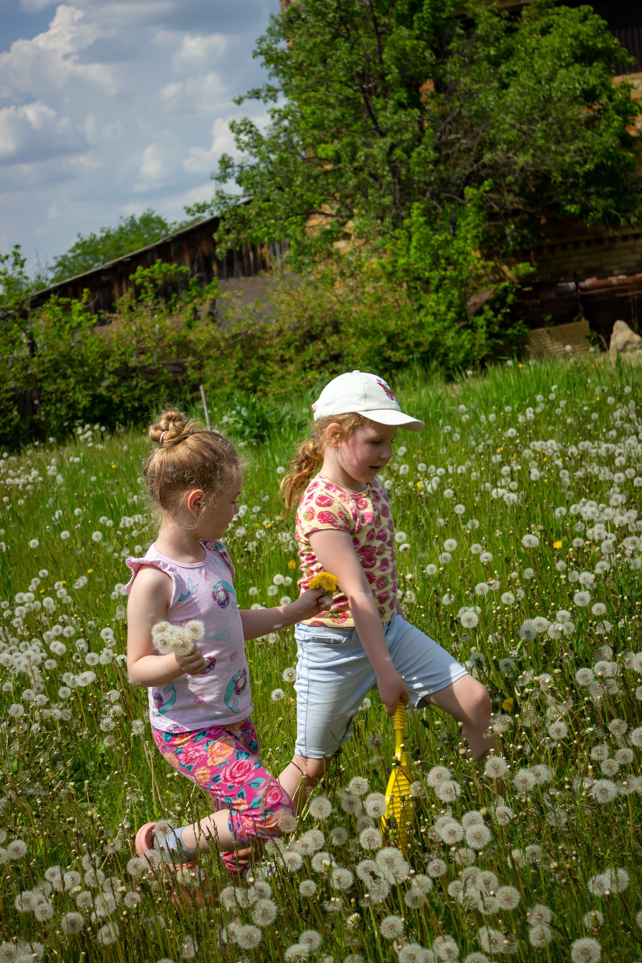 Одуванчики. Фотограф в Богдановиче Анна Сантяпова
