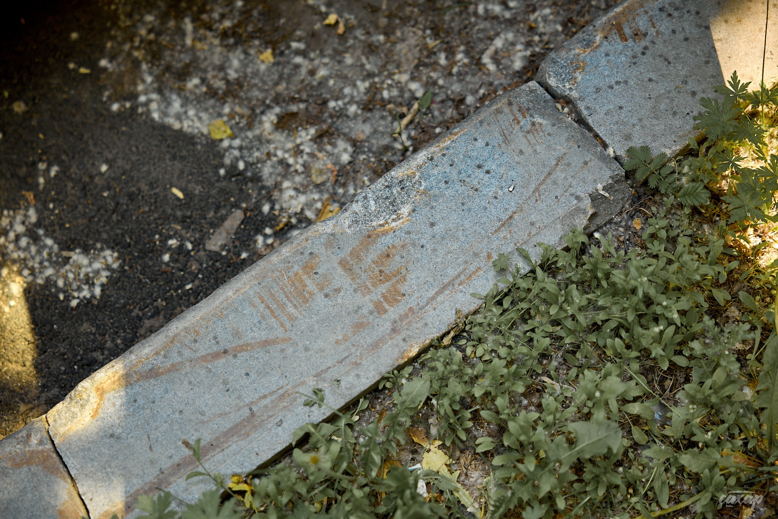 Что вижу, то и пою! от 2024_06_15. Профессиональный фотограф в Екатеринбурге Юра Сахар