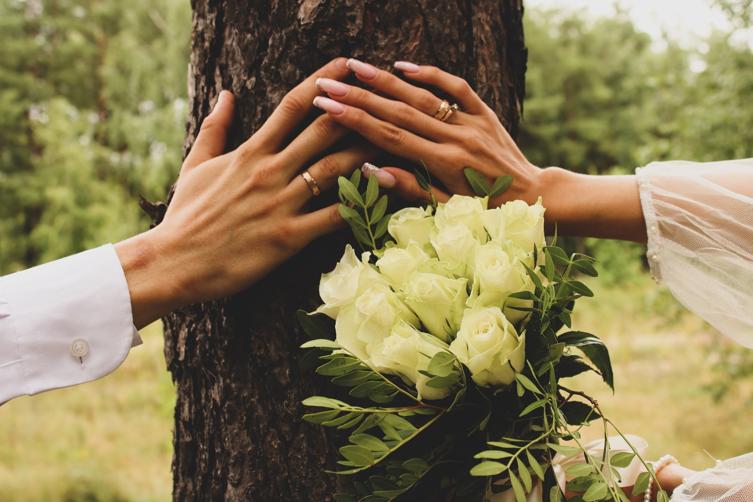 Алексей и Карина. Фотограф в Курске Смирнов Евгений
