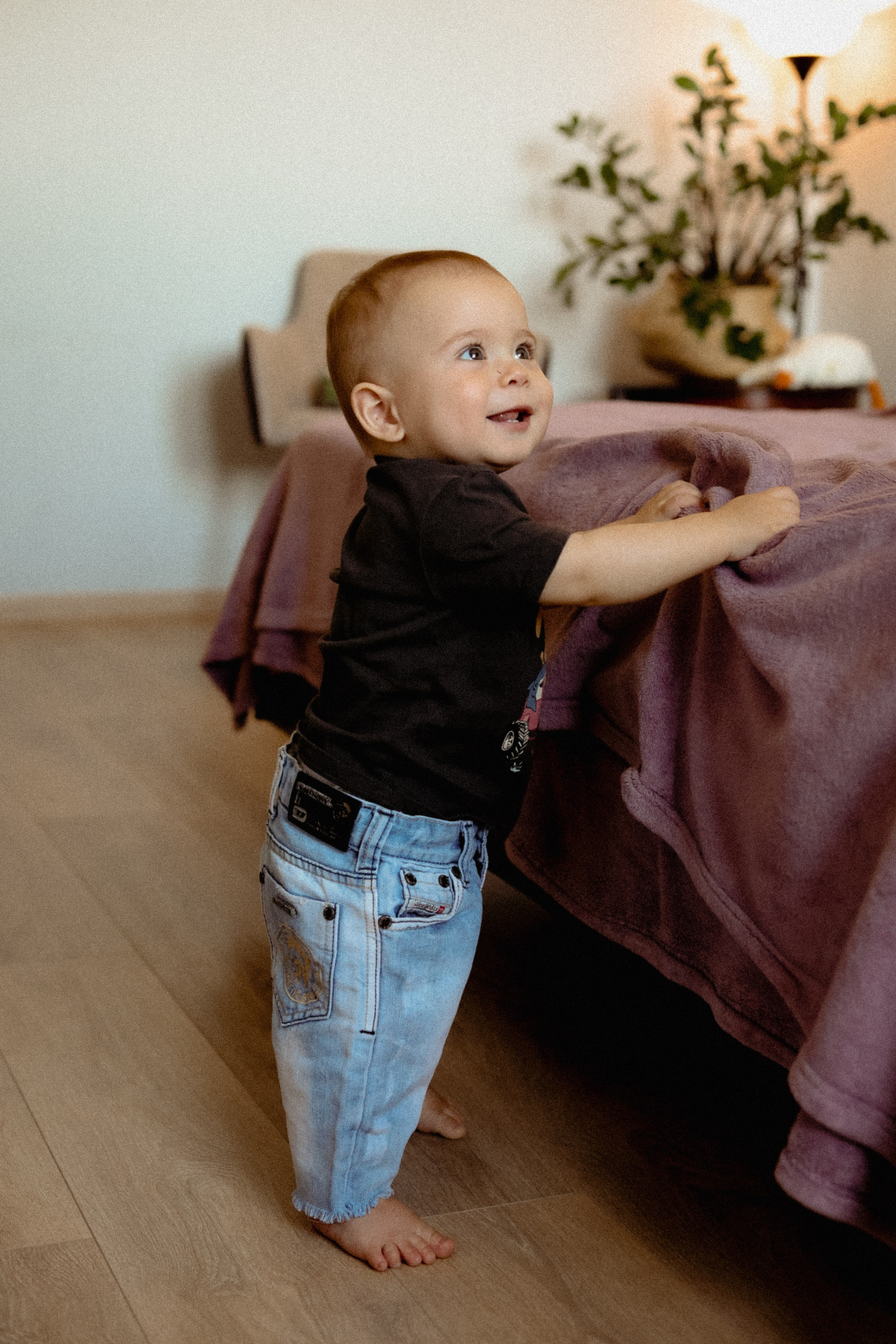 Домашняя история. Meryfotoidea