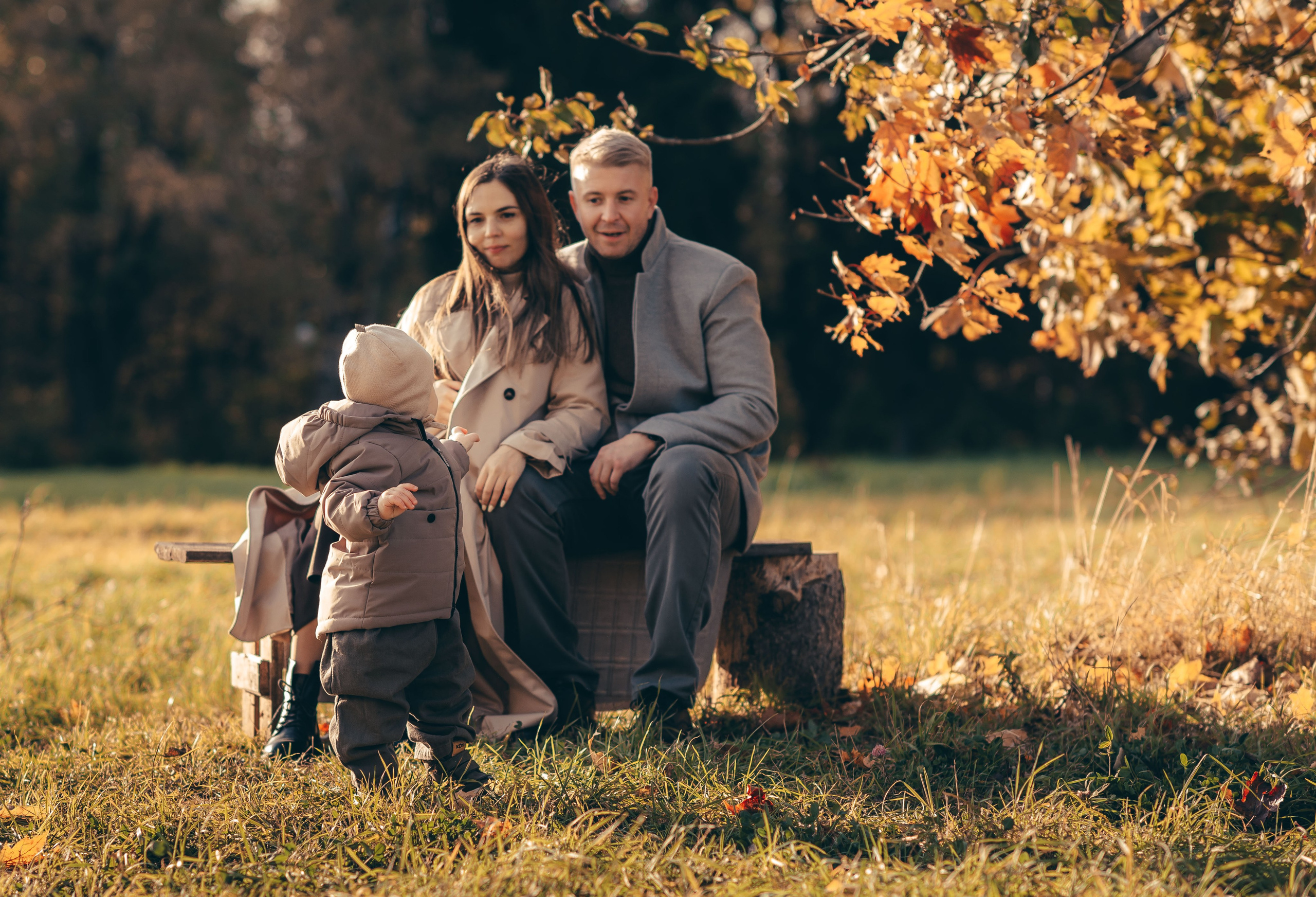 Осень в парке. Семейный фотограф в Домодедово и Москве Елена Пичугина