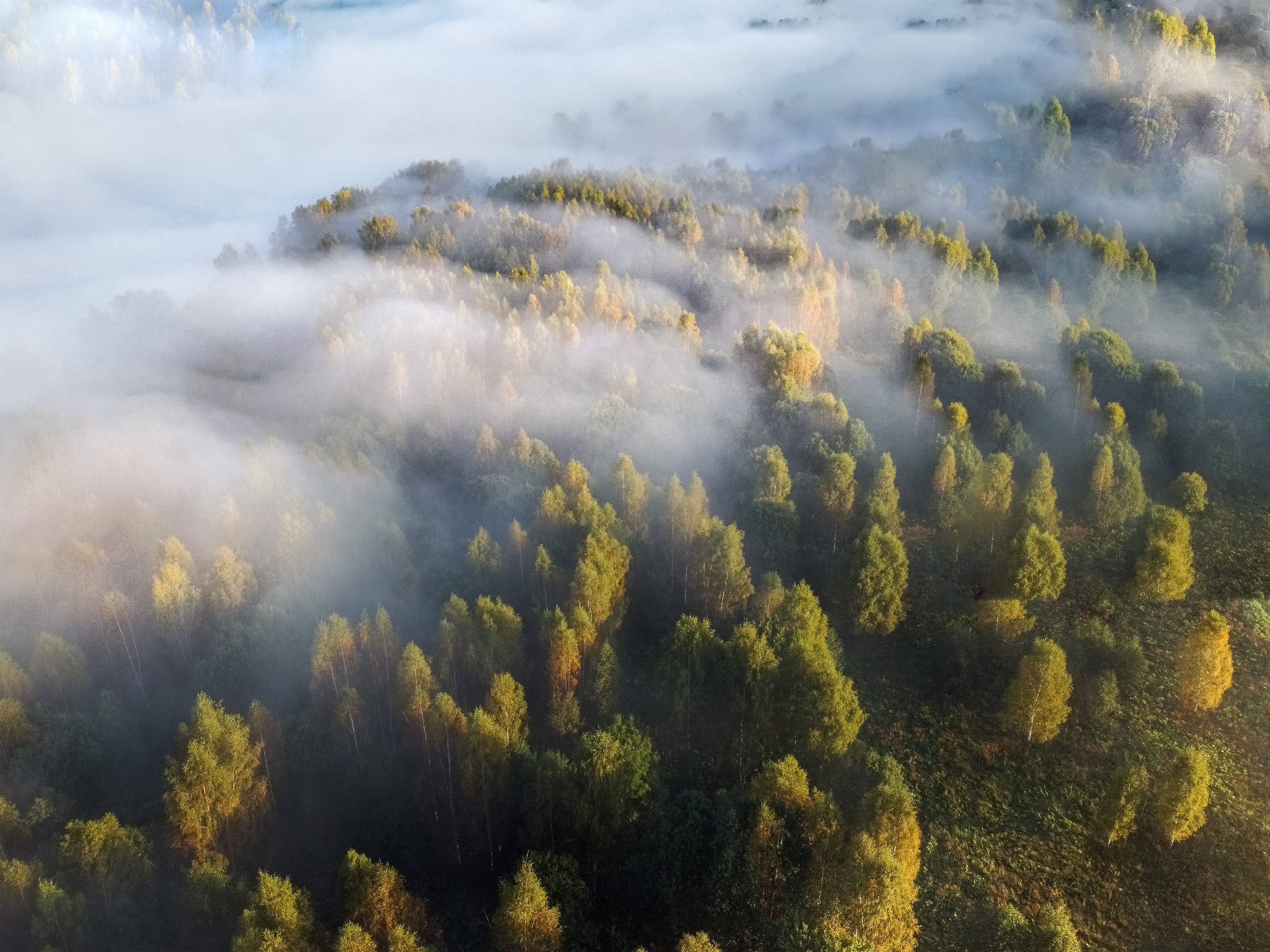 Природа Старицкого края. Осень. Сайт пейзажного фотографа Павла Крайникова