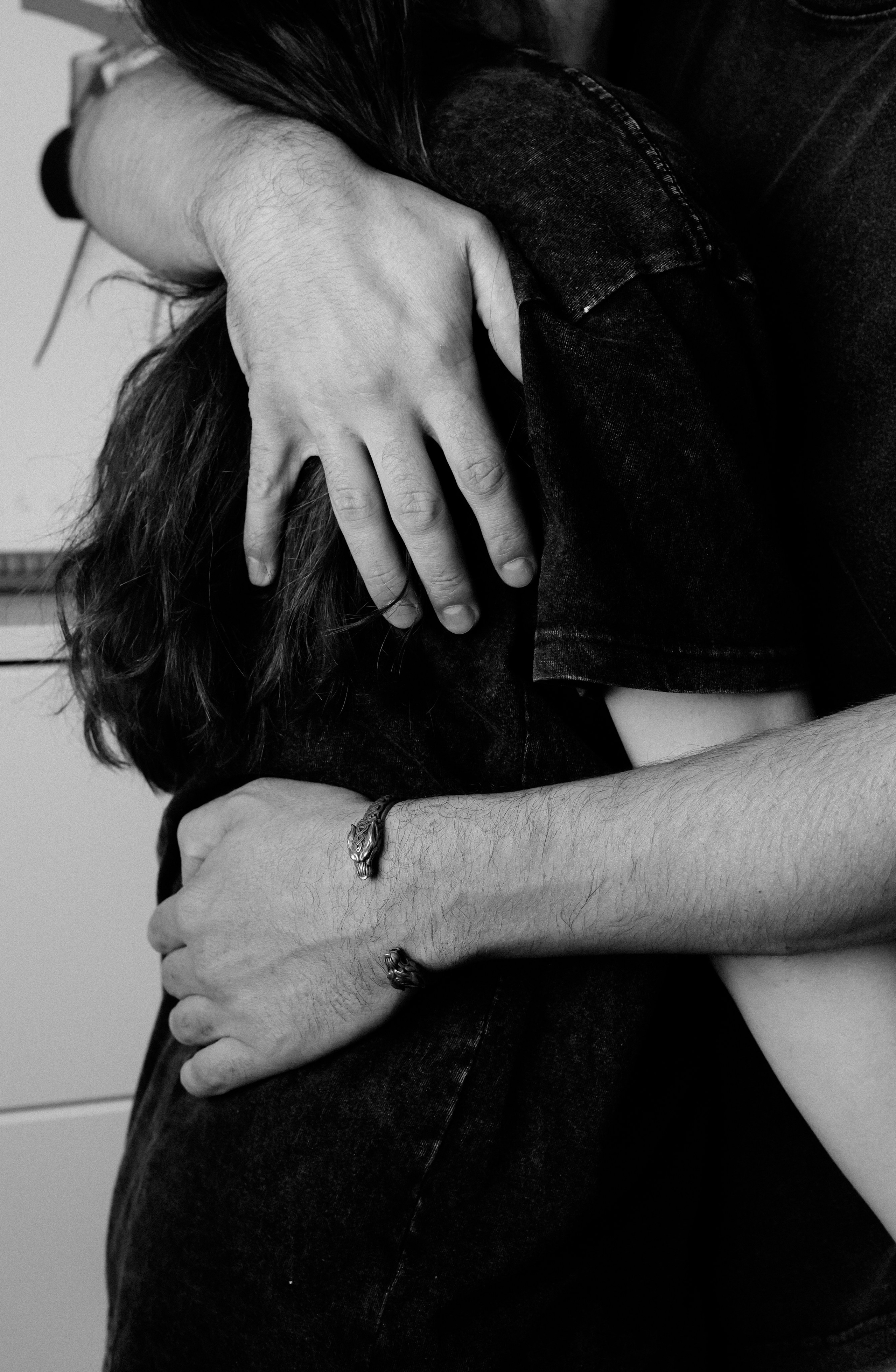 Домашняя история. Meryfotoidea