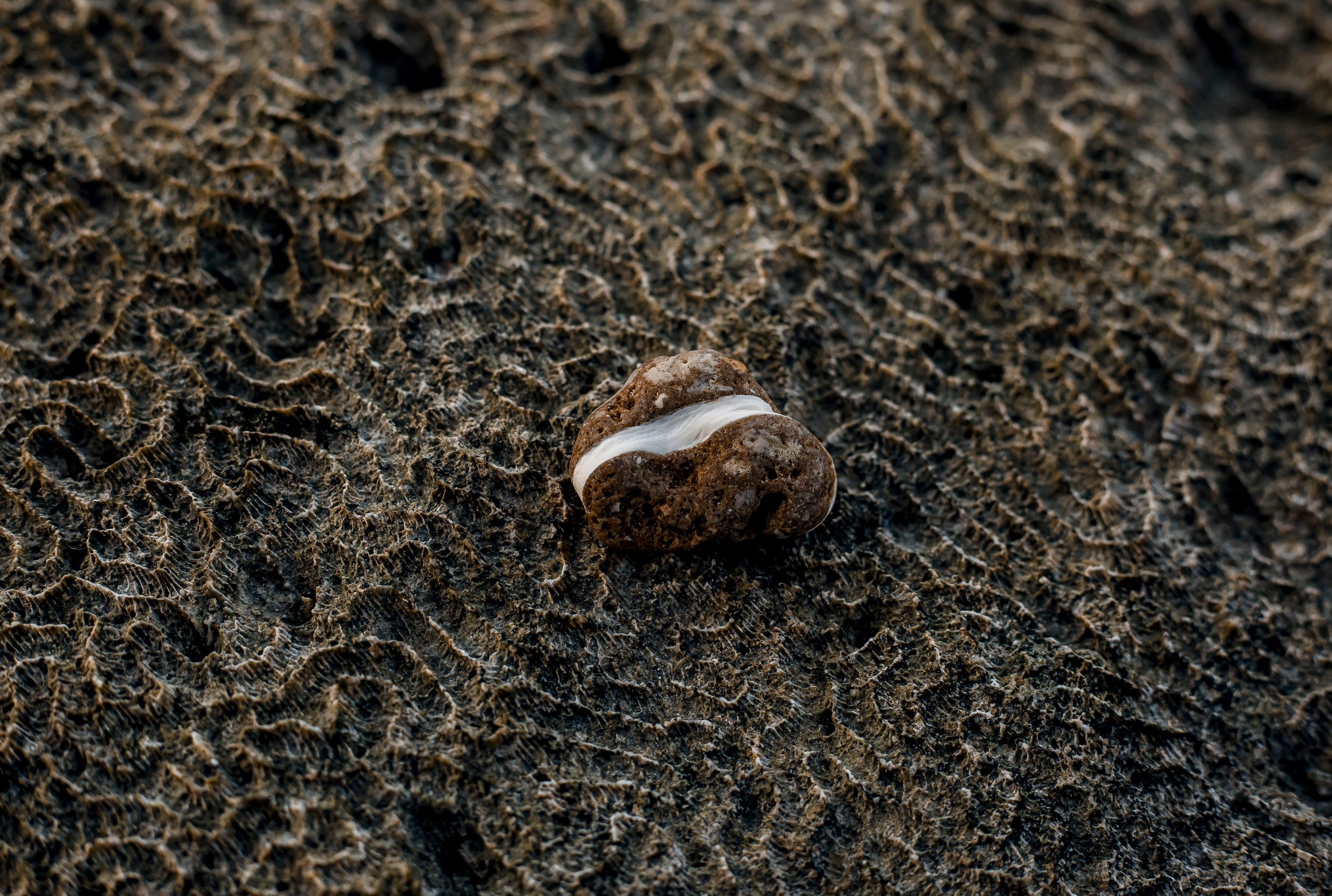 Andaman Islands, Part2. Art Photographer