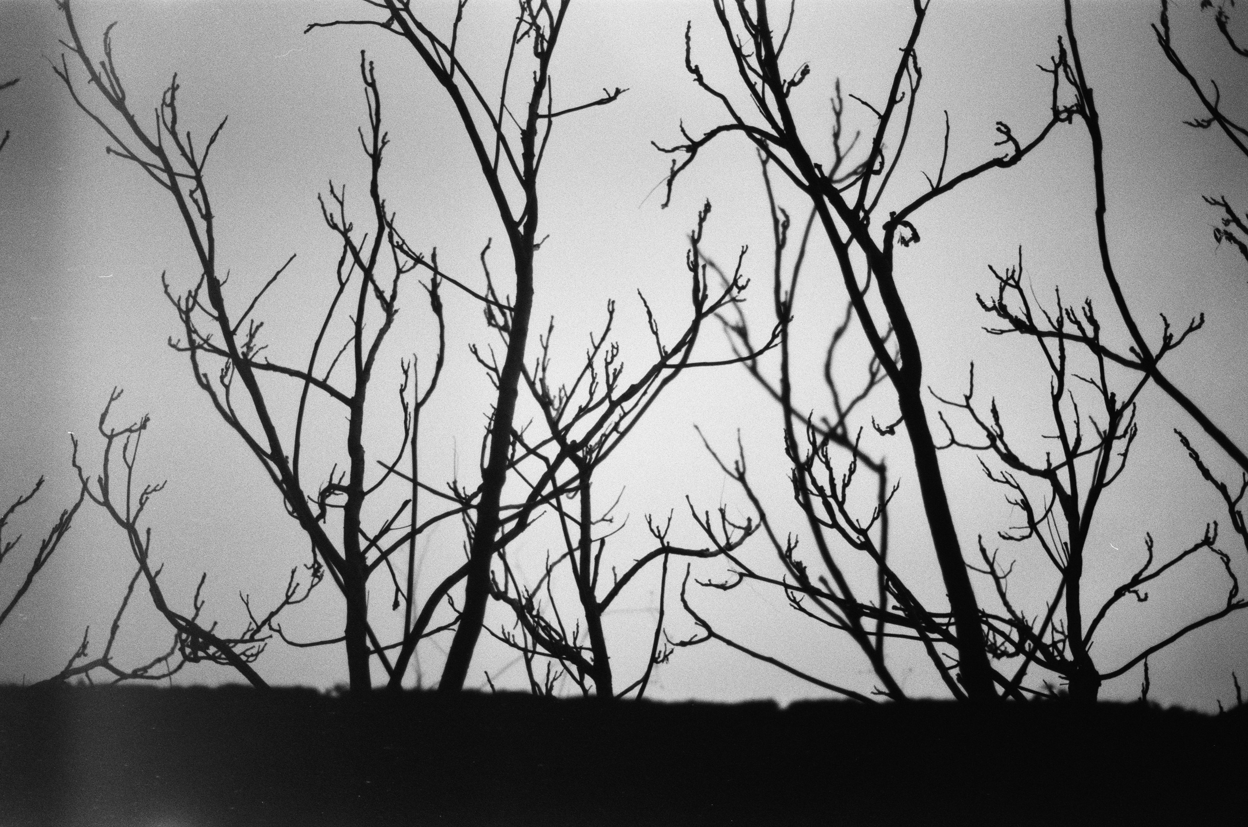 Spanish sahara // spain, caceres II. EVER EXPOSED