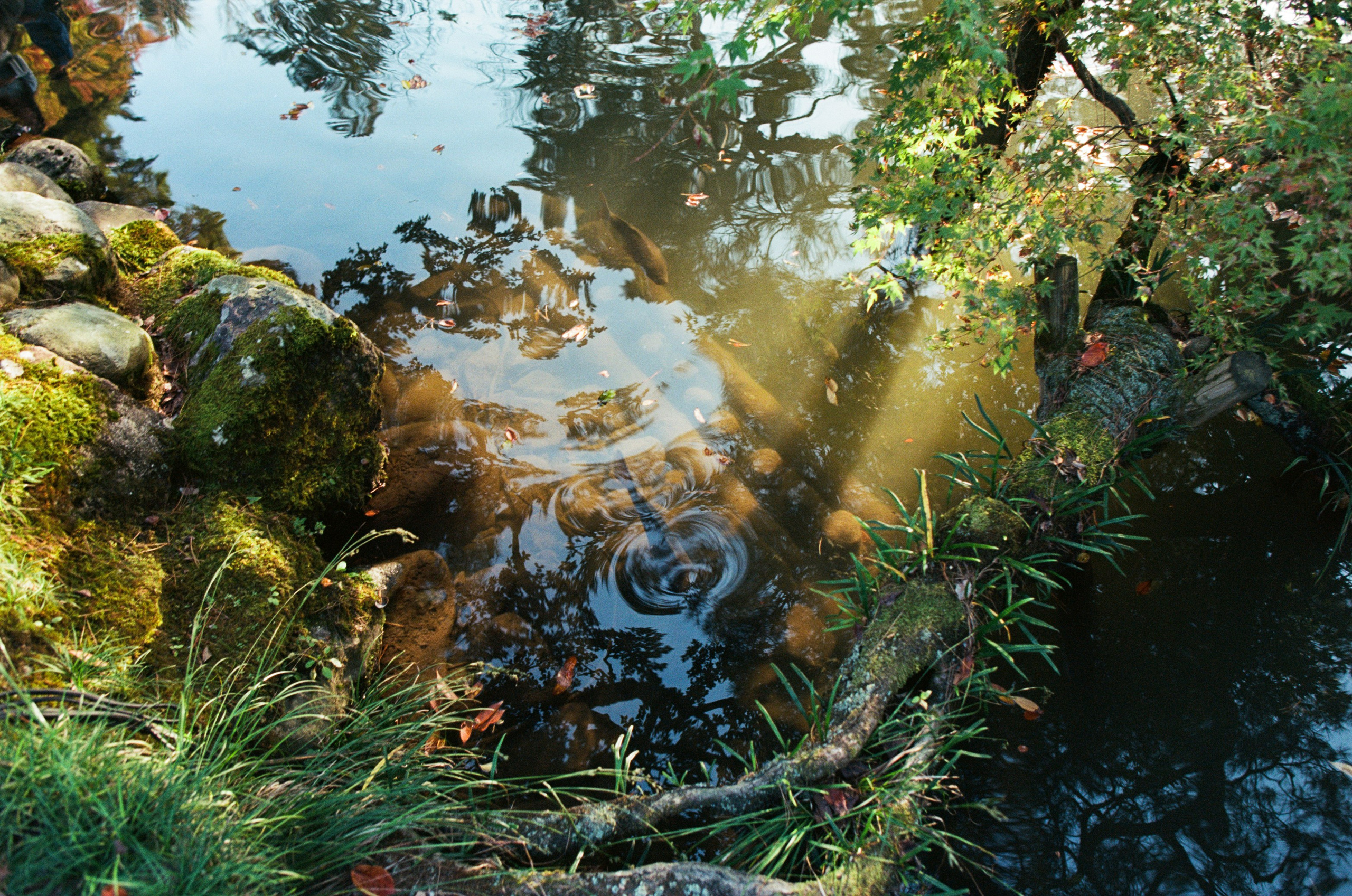 Out of noise // japan, kyoto. EVER EXPOSED