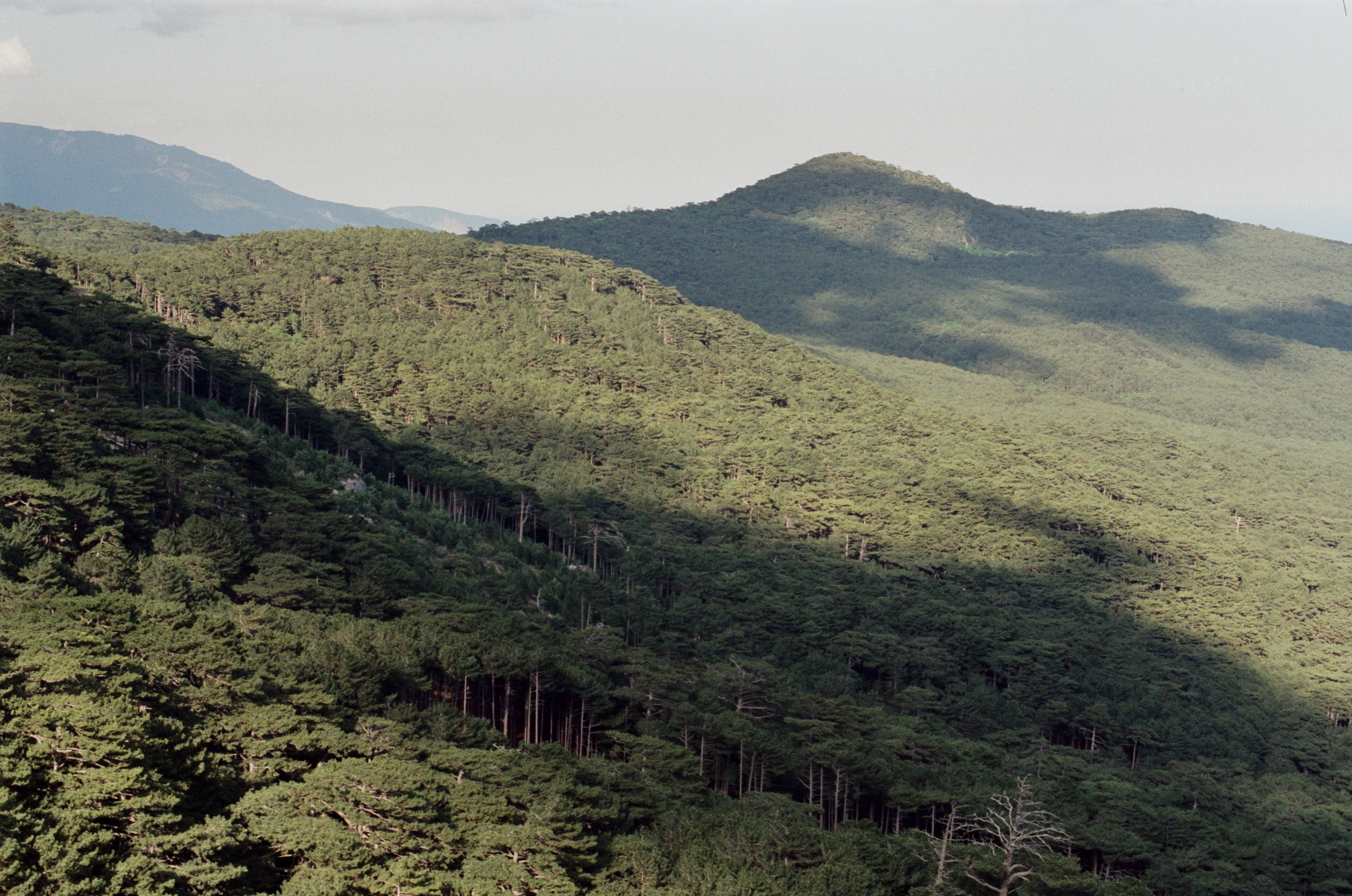 Silver strings // ukraine, crimea VIII. EVER EXPOSED