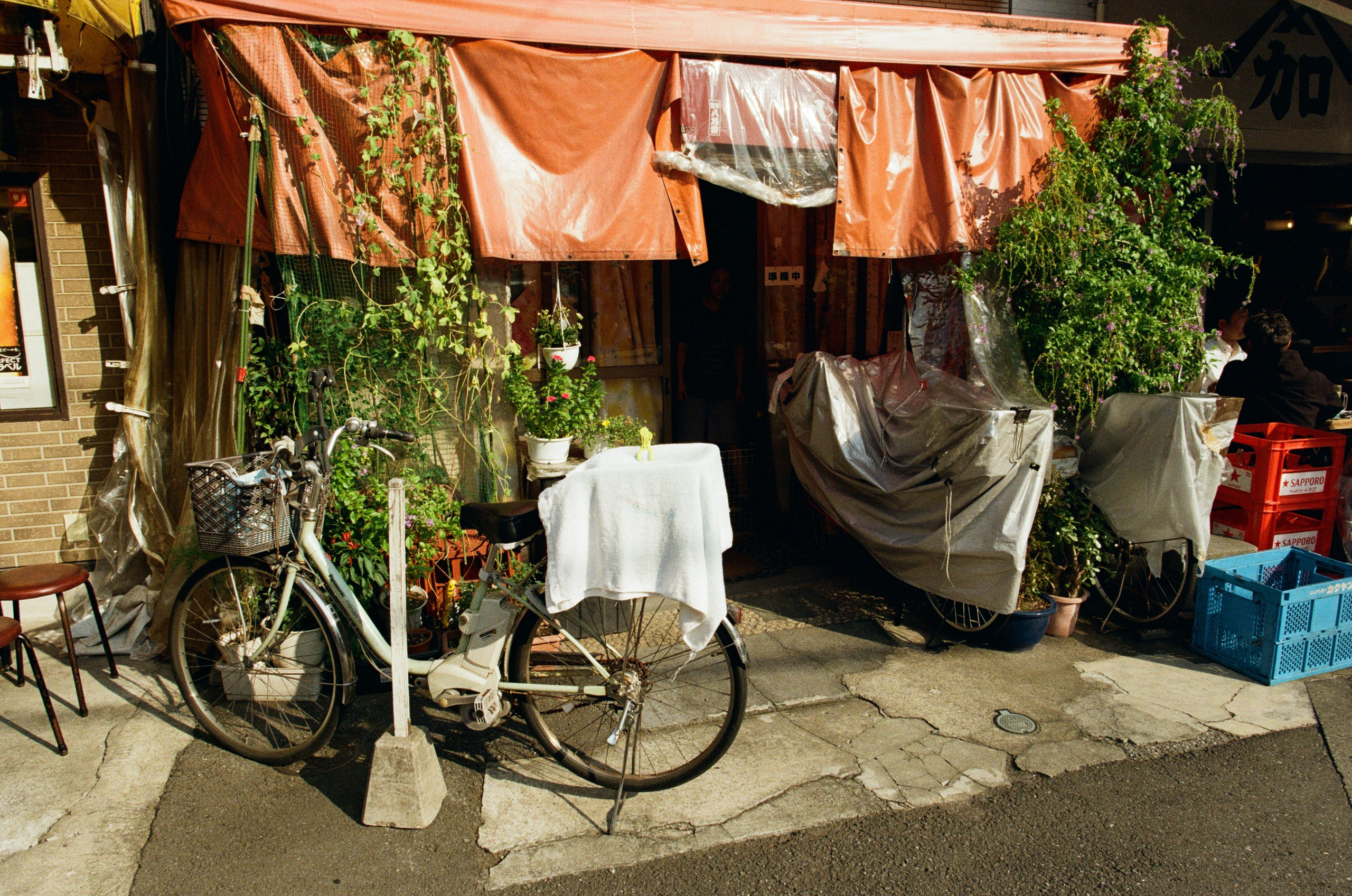 Out of noise // japan, tokyo IV. EVER EXPOSED