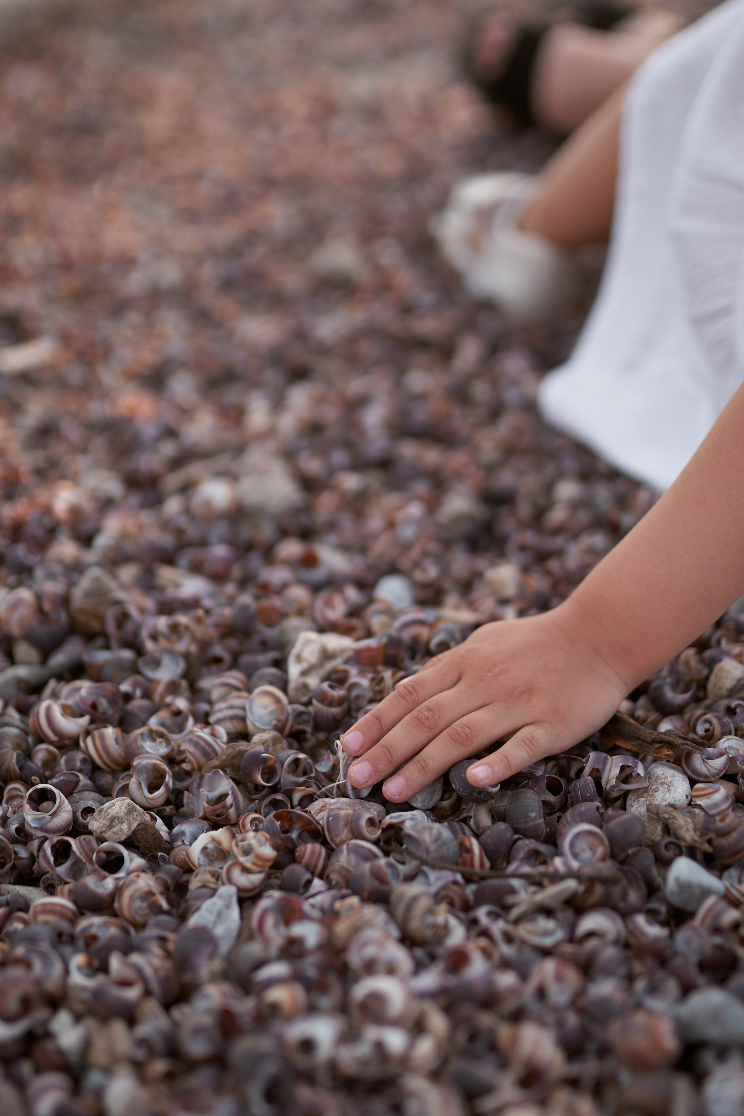 Семейная съемка. Виктория, Рустам и Аделина. Фотосессии с лошадьми в Москве, Новосибирске