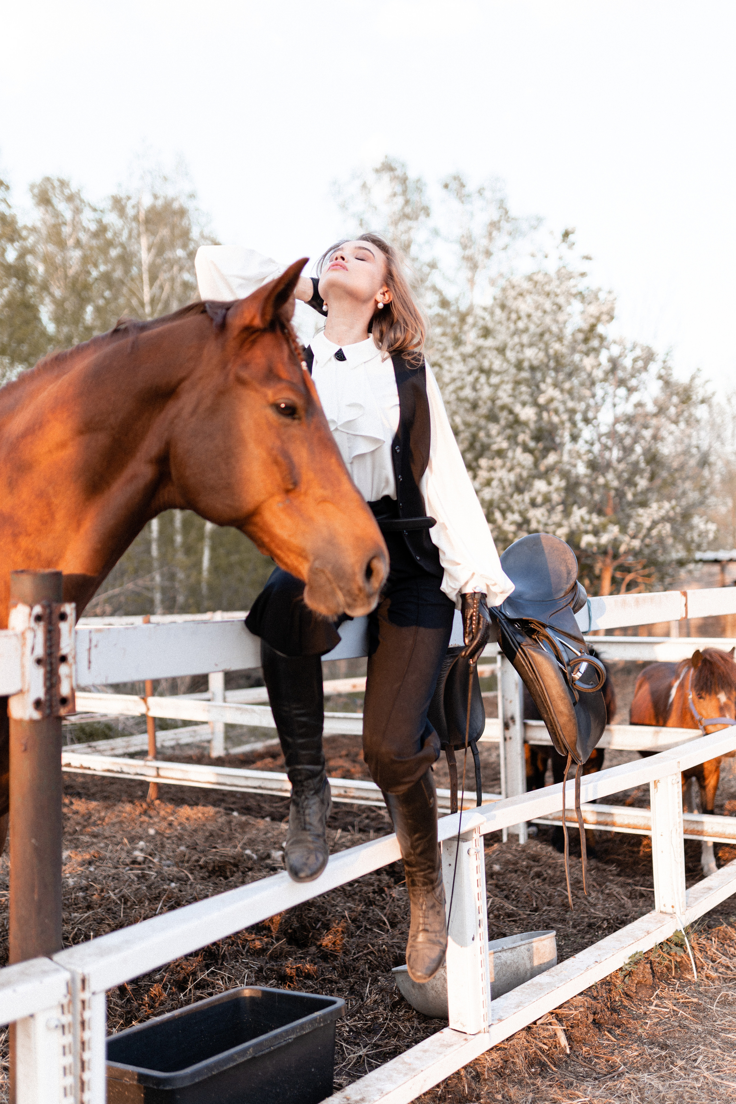 Екатерина, Прогон, Пепел. Фотосессии с лошадьми в Москве, Новосибирске
