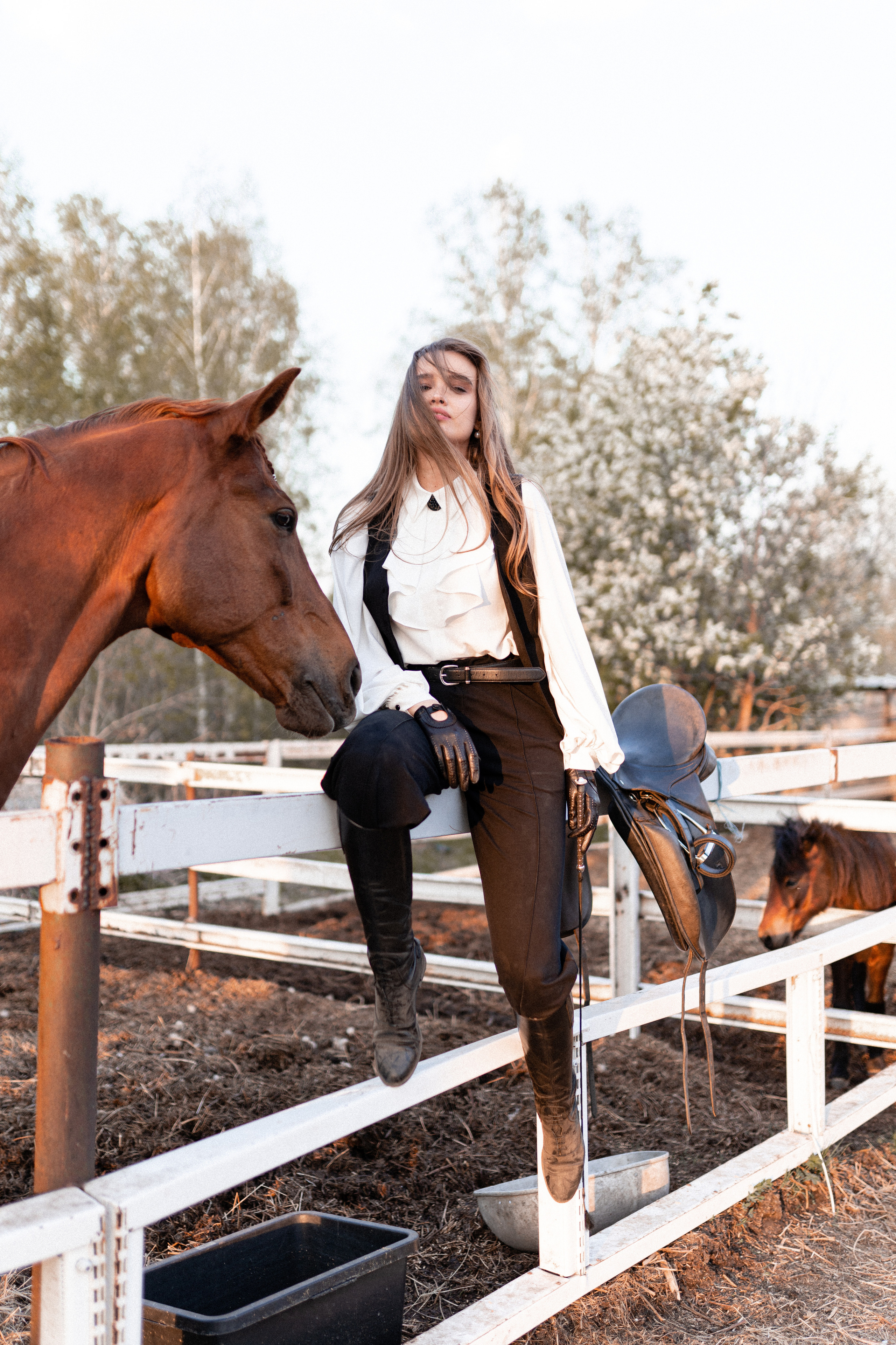 Екатерина, Прогон, Пепел. Фотосессии с лошадьми в Москве, Новосибирске