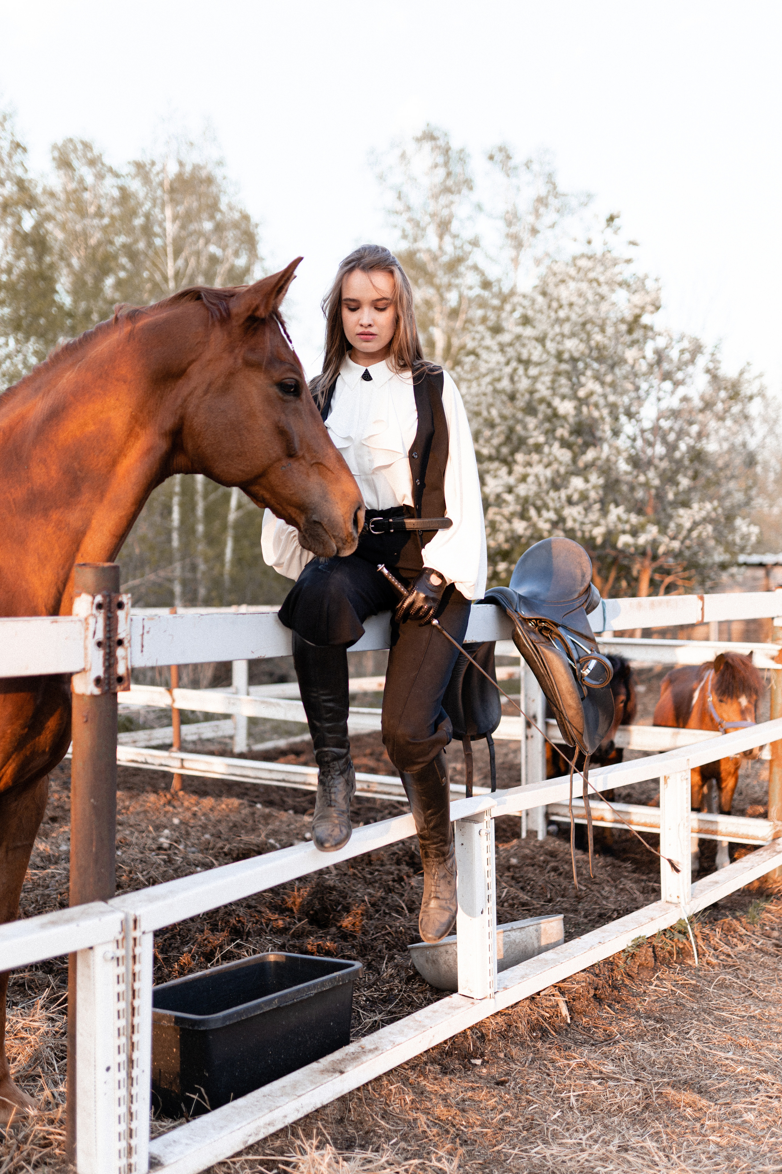 Екатерина, Прогон, Пепел. Фотосессии с лошадьми в Москве, Новосибирске