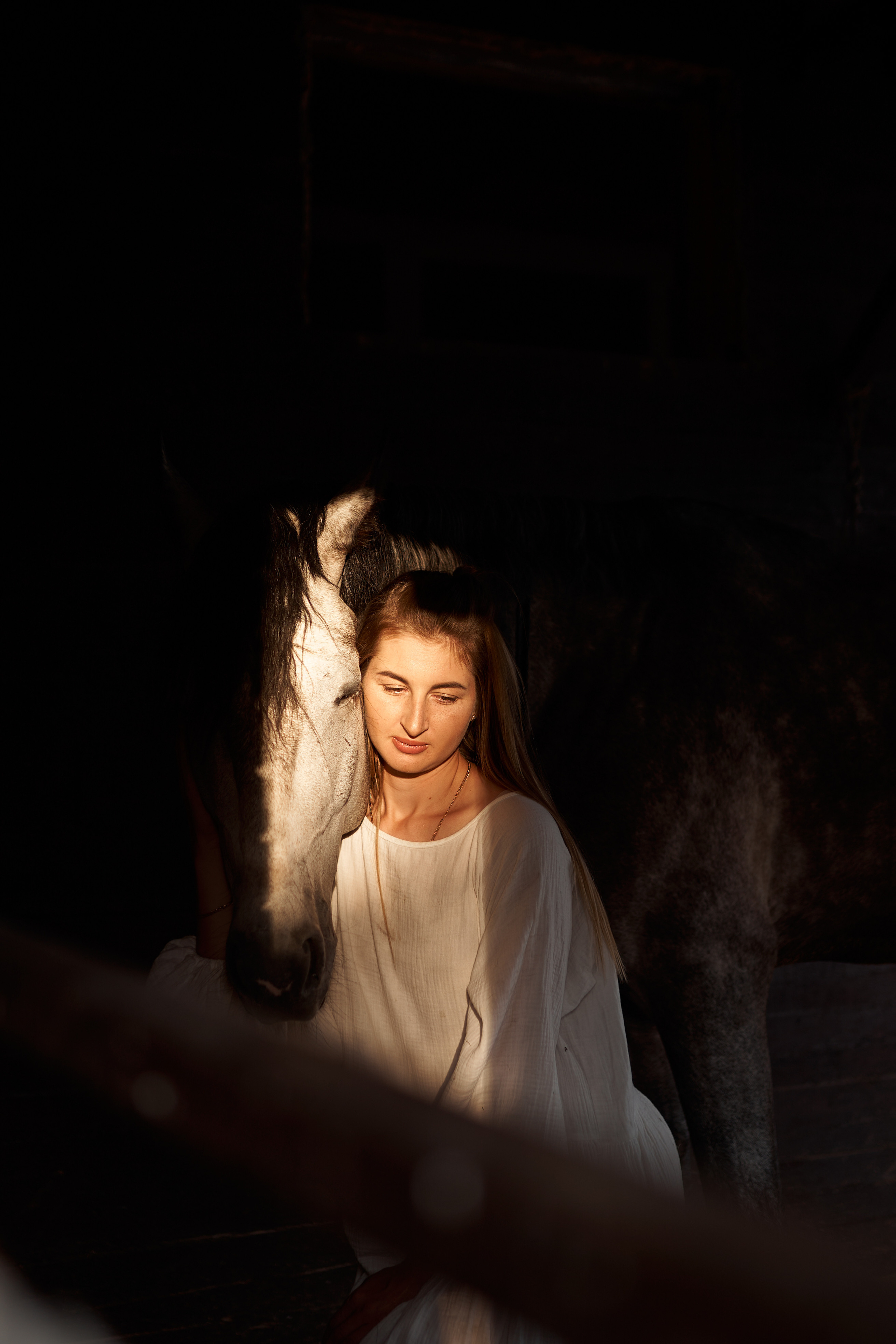 Оля Панченко и Кондор. Фотосессии с лошадьми в Москве, Новосибирске