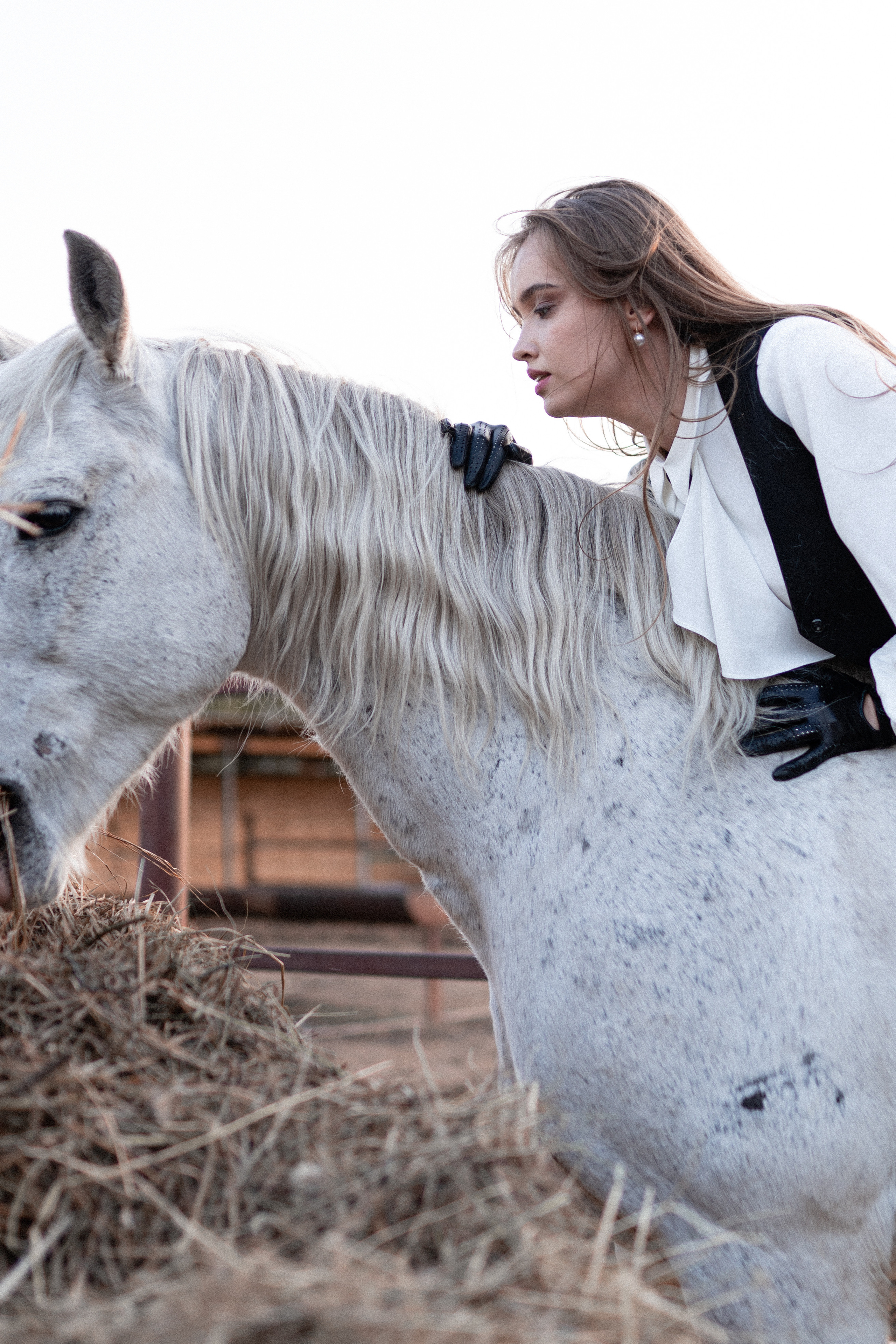 Екатерина, Прогон, Пепел. Фотосессии с лошадьми в Москве, Новосибирске