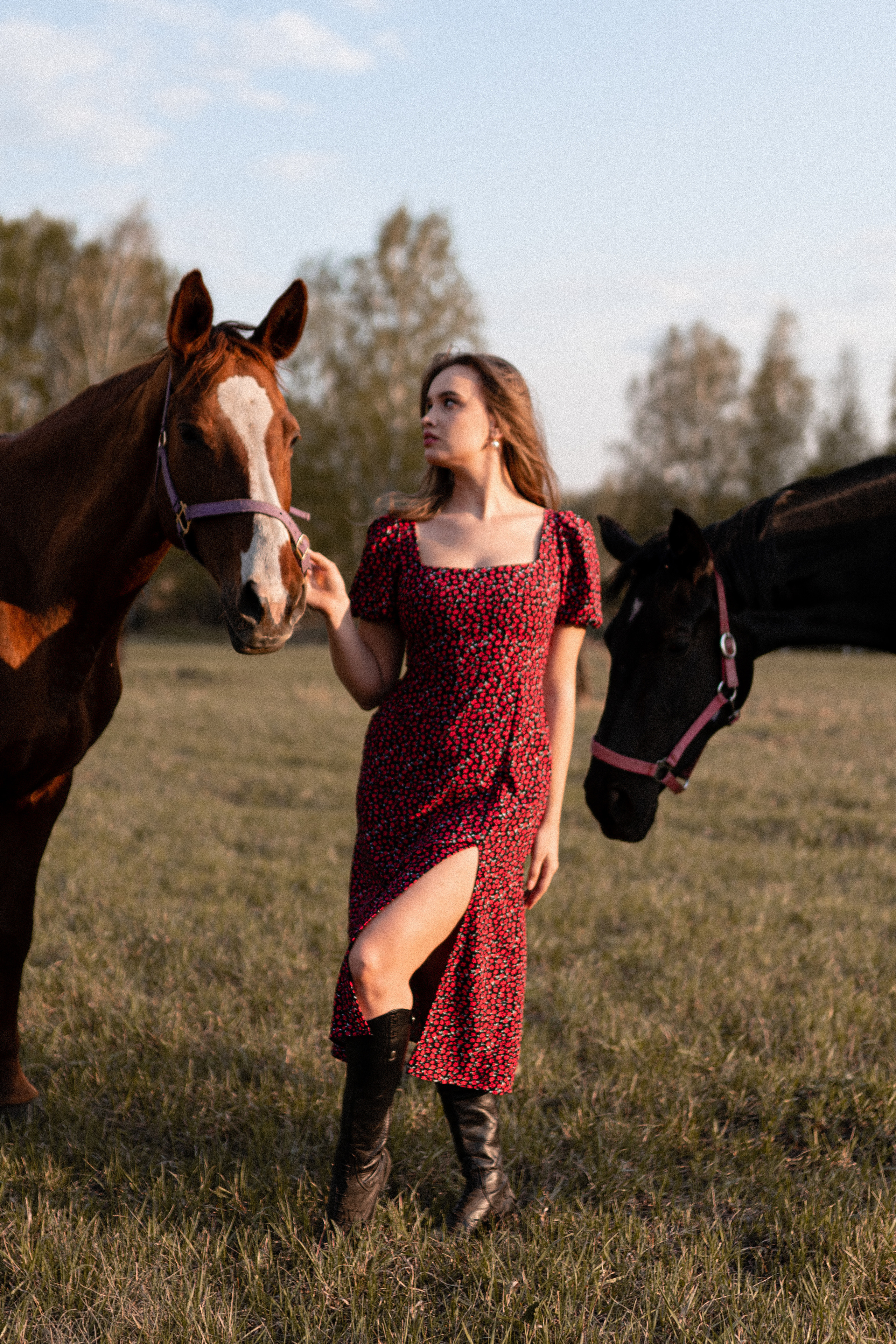 Екатерина в табуне. Фотосессии с лошадьми в Москве, Новосибирске