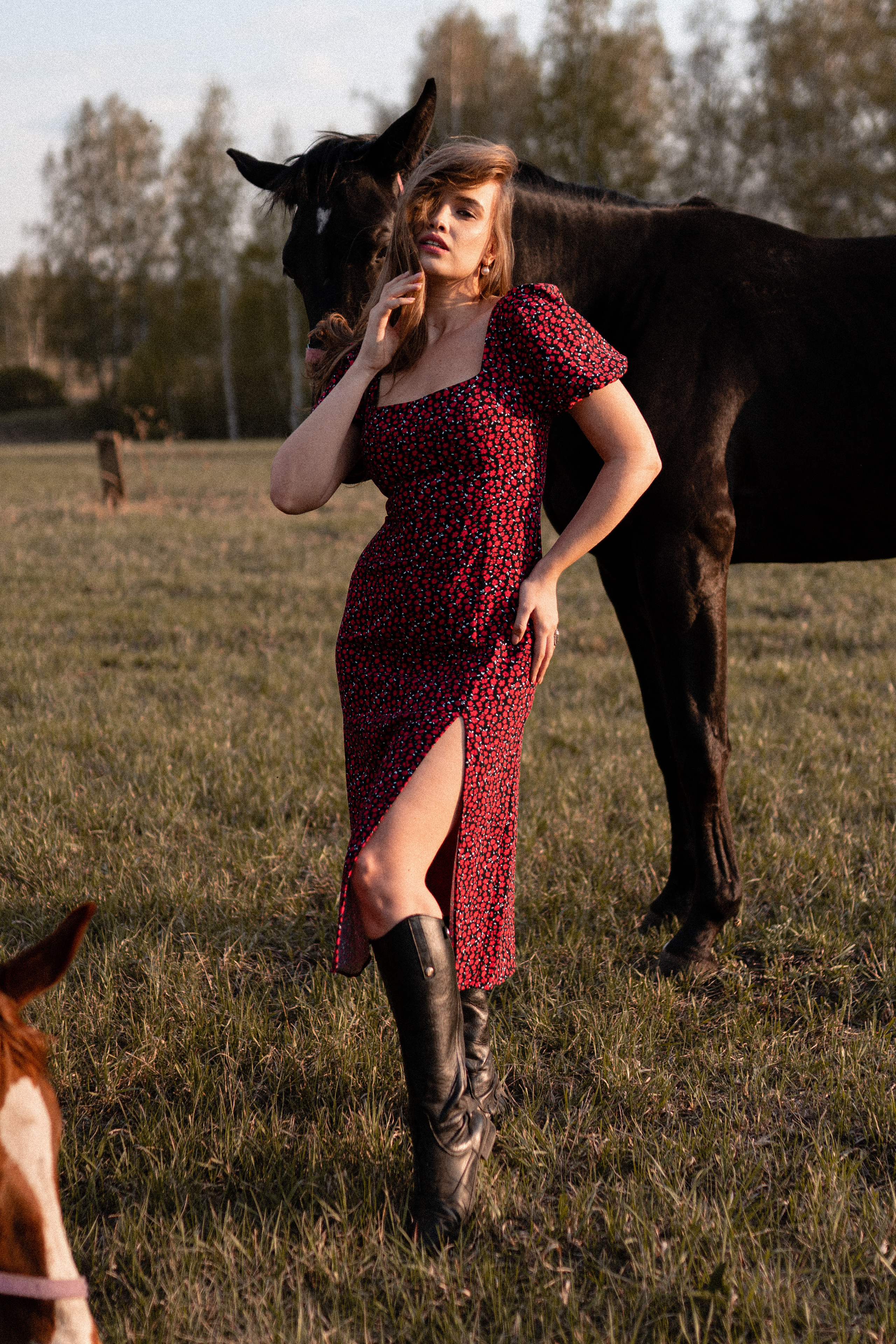 Екатерина в табуне. Фотосессии с лошадьми в Москве, Новосибирске