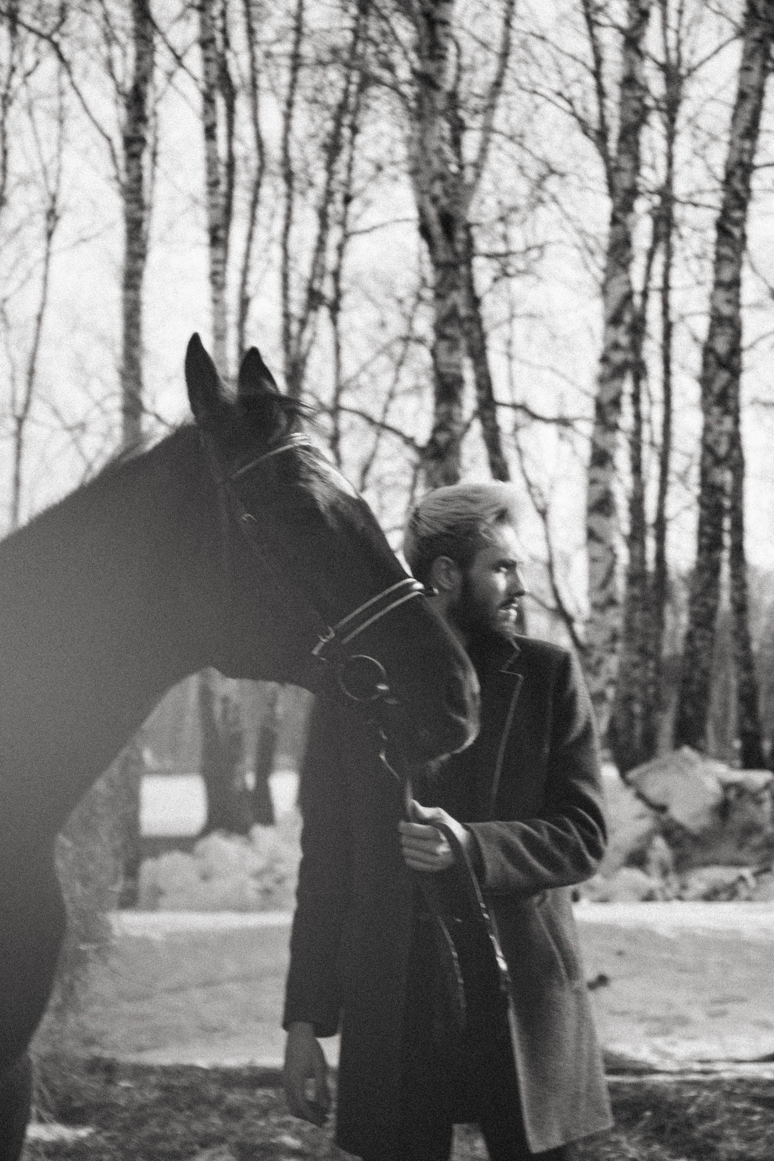 Юрий Бойченко и Шаде. Фотосессии с лошадьми в Москве, Новосибирске