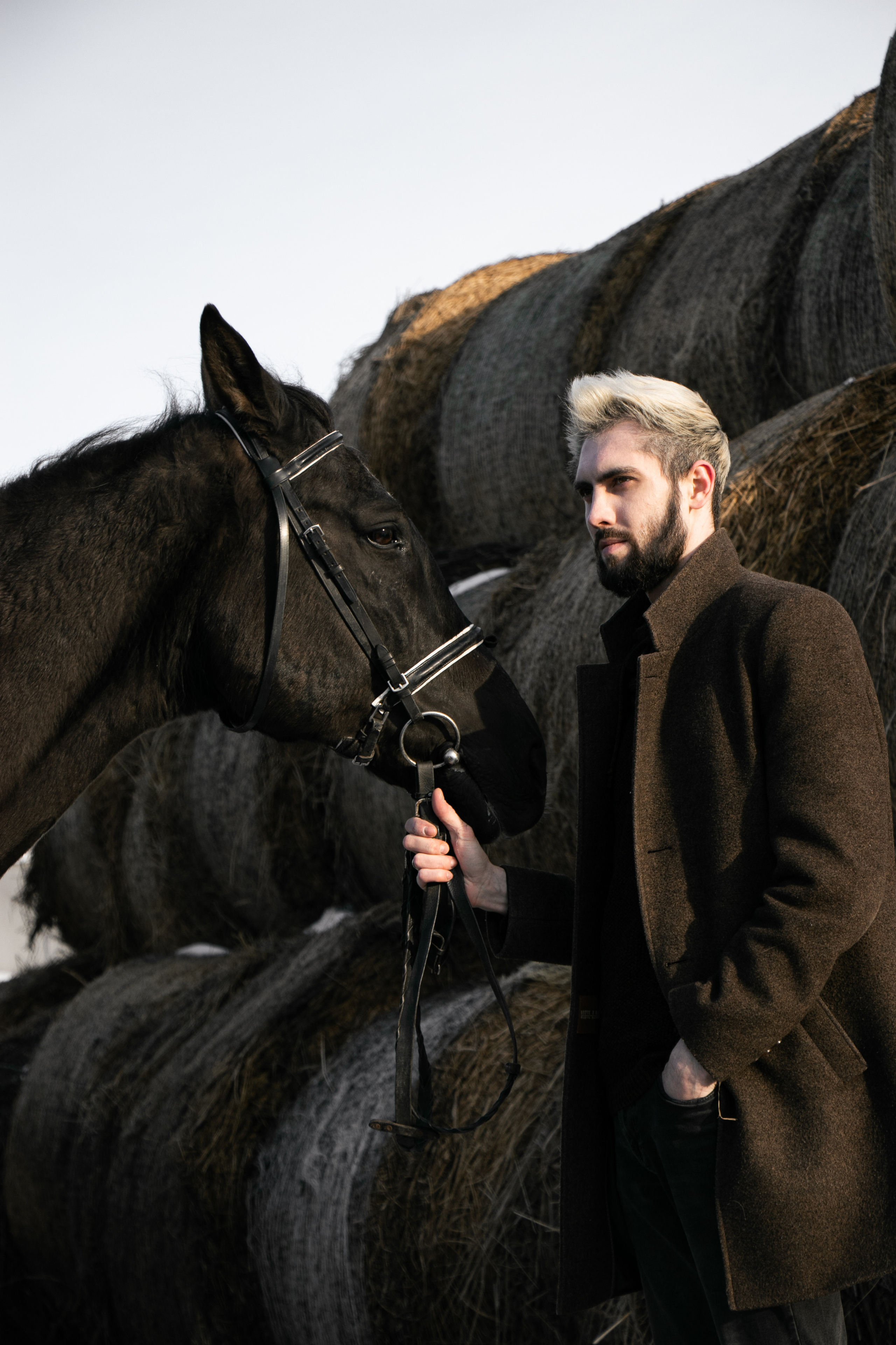Юрий Бойченко и Шаде. Фотосессии с лошадьми в Москве, Новосибирске