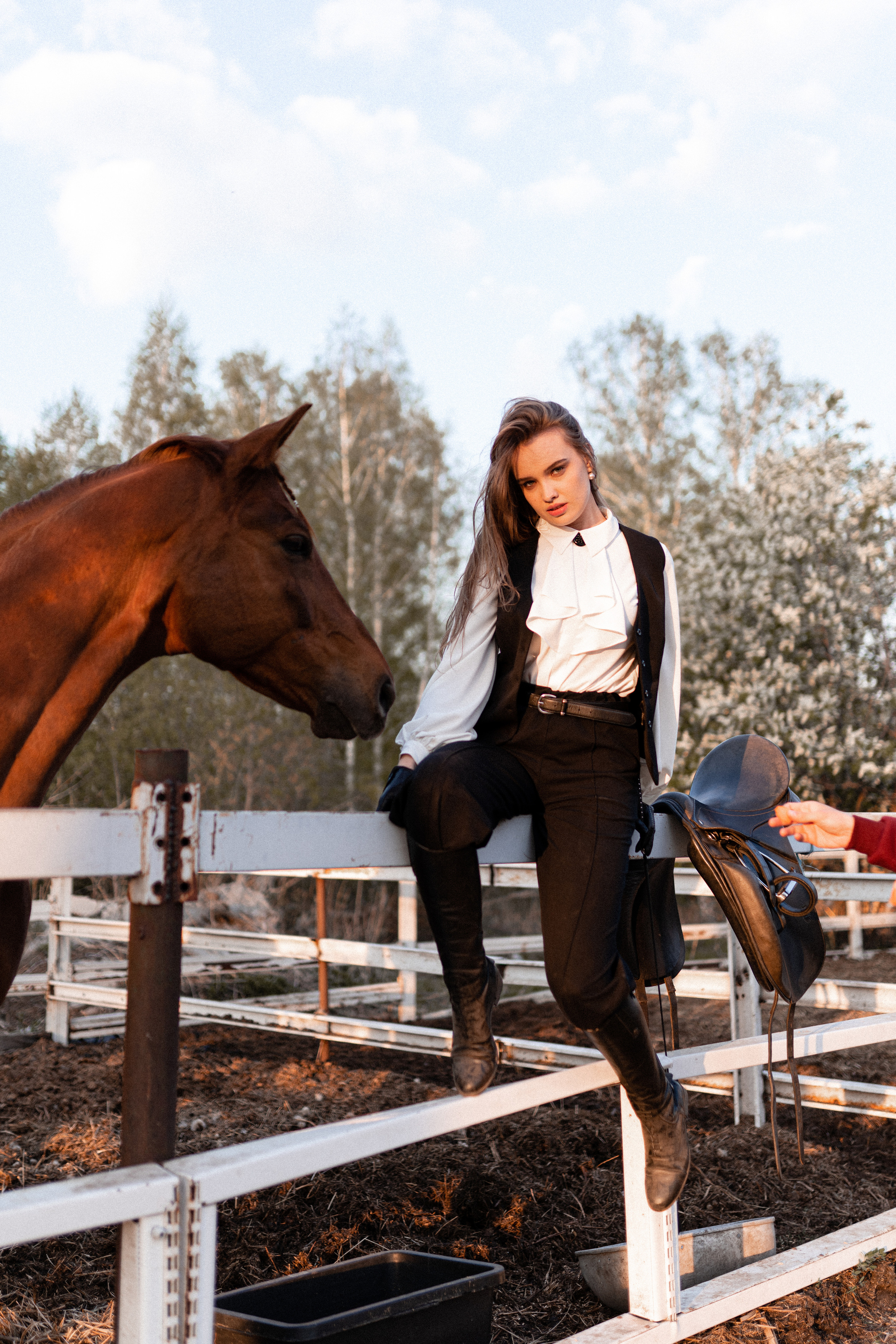 Екатерина, Прогон, Пепел. Фотосессии с лошадьми в Москве, Новосибирске